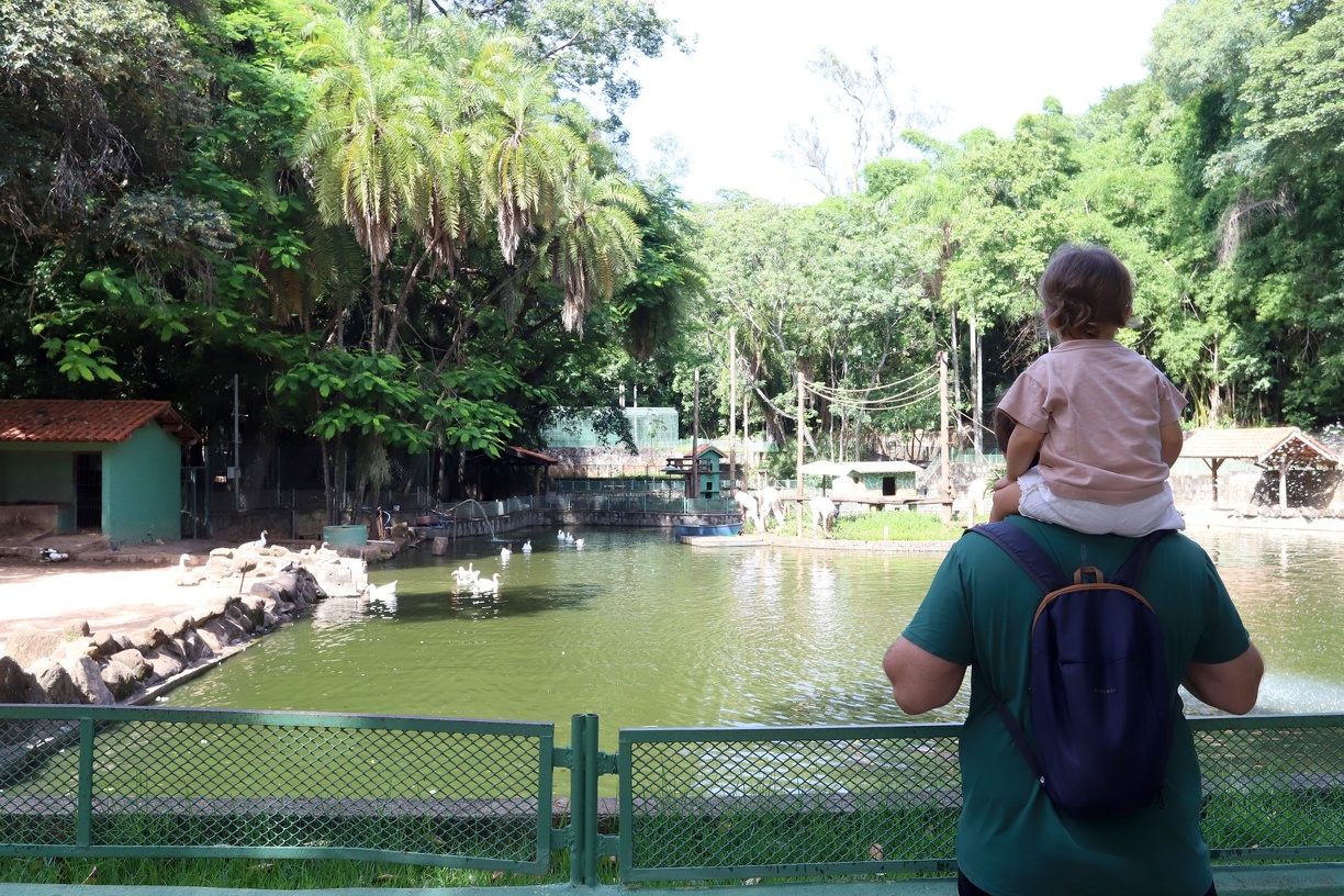 Bosque dos Jequitibás, um dos parques mais tradicionais da cidade, combina área verde, animais, espaço educativo e lazer para diferentes idades
