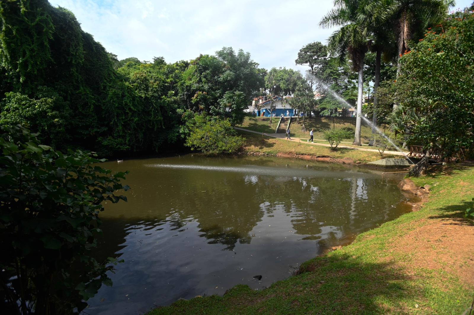 Lago do Bosque da Paz foi recuperado