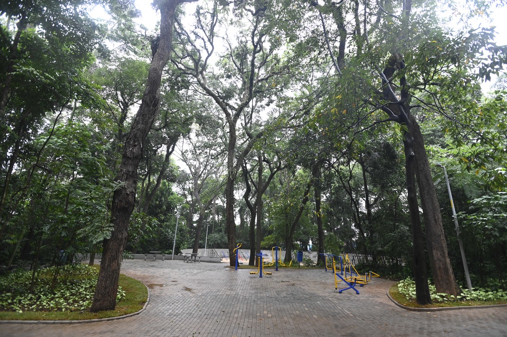 O Bosque dos Alemães, na região Norte de Campinas, está fechado nesta segunda-feira