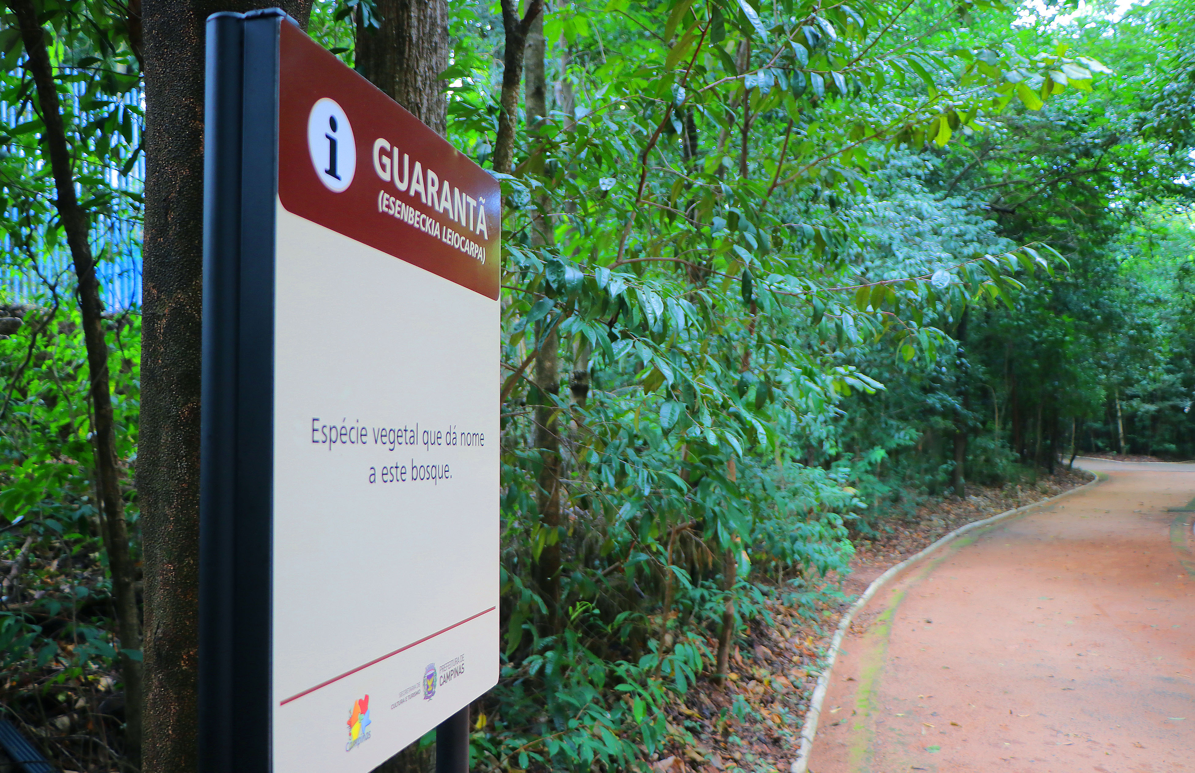 Bosque dos Guarantãs, na região Sul, é um dos parques que permanecem fechados nesta quarta-feira; acumulado de chuvas em 72h foi de 85 mm