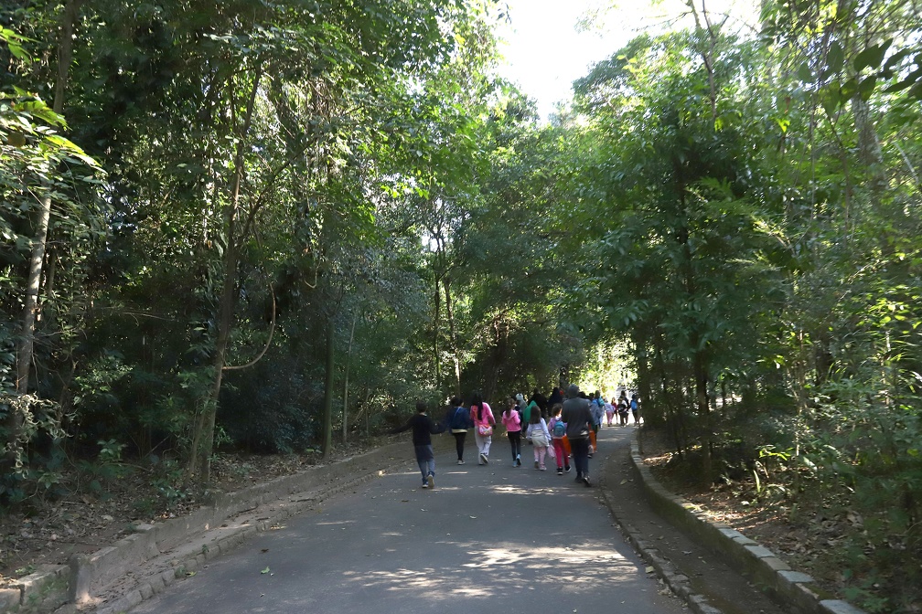 Bosque dos Jequitibás: após redução no acumulado de chuvas, todos os parques e bosques de Campinas foram abertos