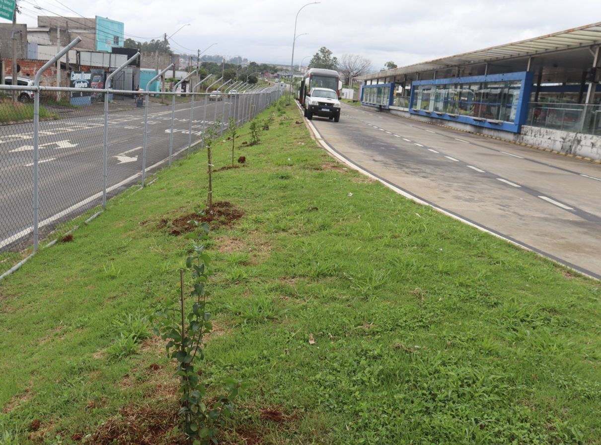  O projeto tem como principal objetivo mitigar os efeitos do aquecimento nas áreas pavimentadas