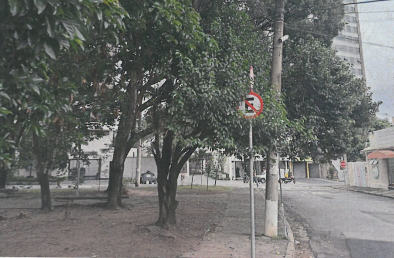 Árvores estão cobrindo sinalização, com copas baixas e galhos secos