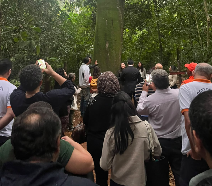 Serviços ecossistêmicos proporcionados pela Mata de Santa Genebra foram destaque na visita