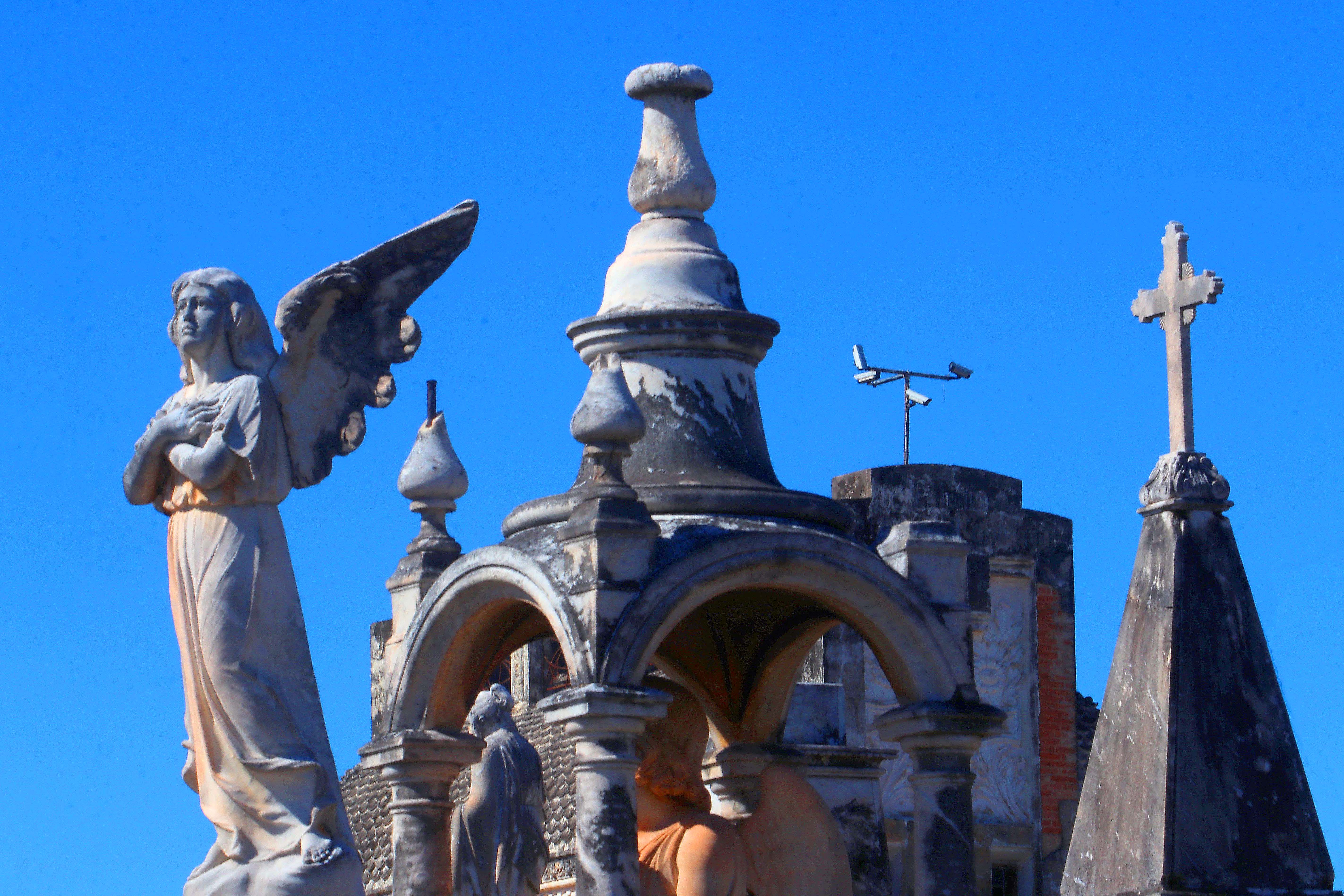 Campinas é a primeira cidade do Brasil a instituir oficialmente o Dia do Patrimônio Cultural Funerário, celebrado em 7 de fevereiro, em reconhecimento à importância história, cultural e afetiva dos cemitérios do municipio