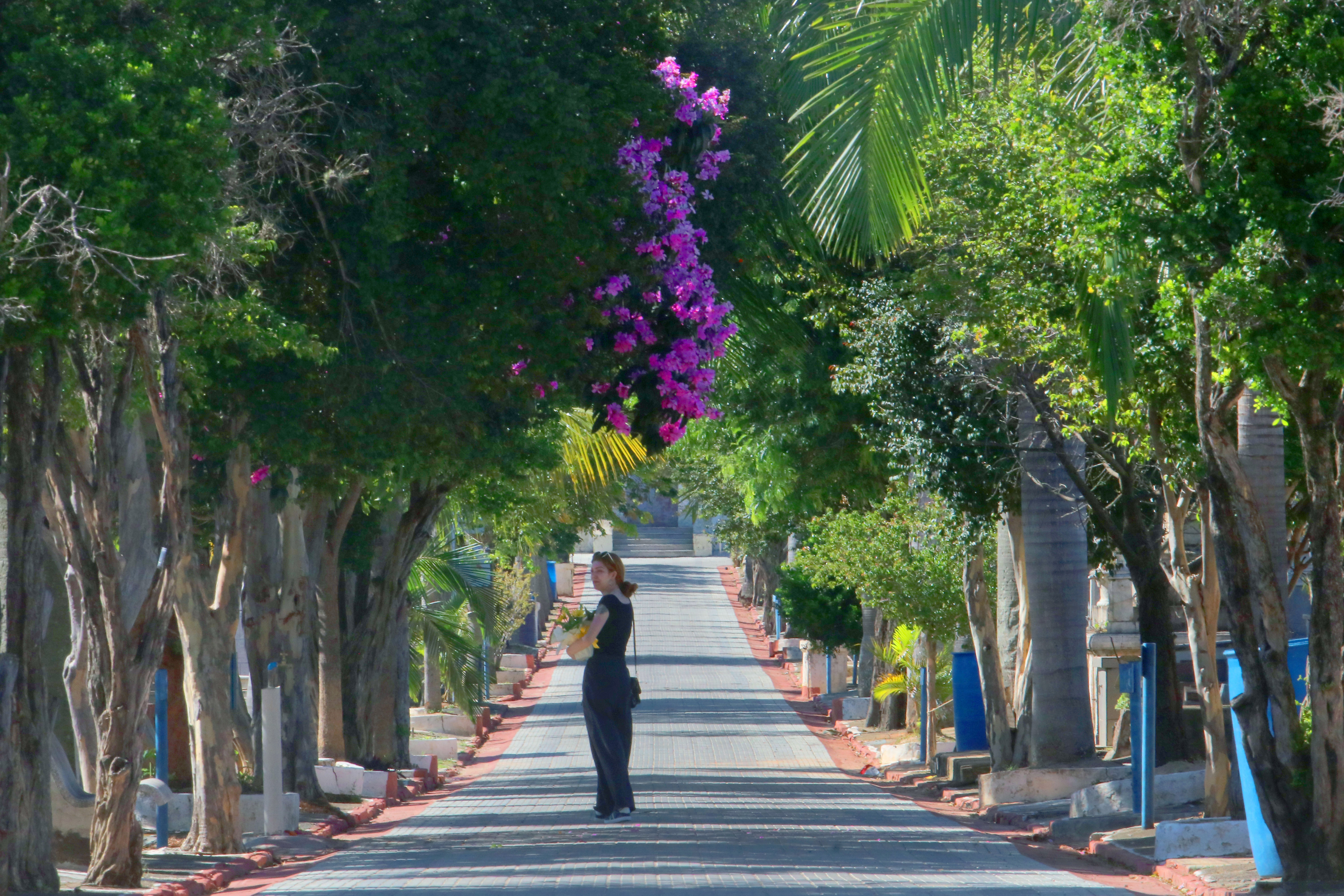 Durante o trajeto, com duração estimada de 2h30,  o público conhecerá histórias de personalidades sepultadas no local