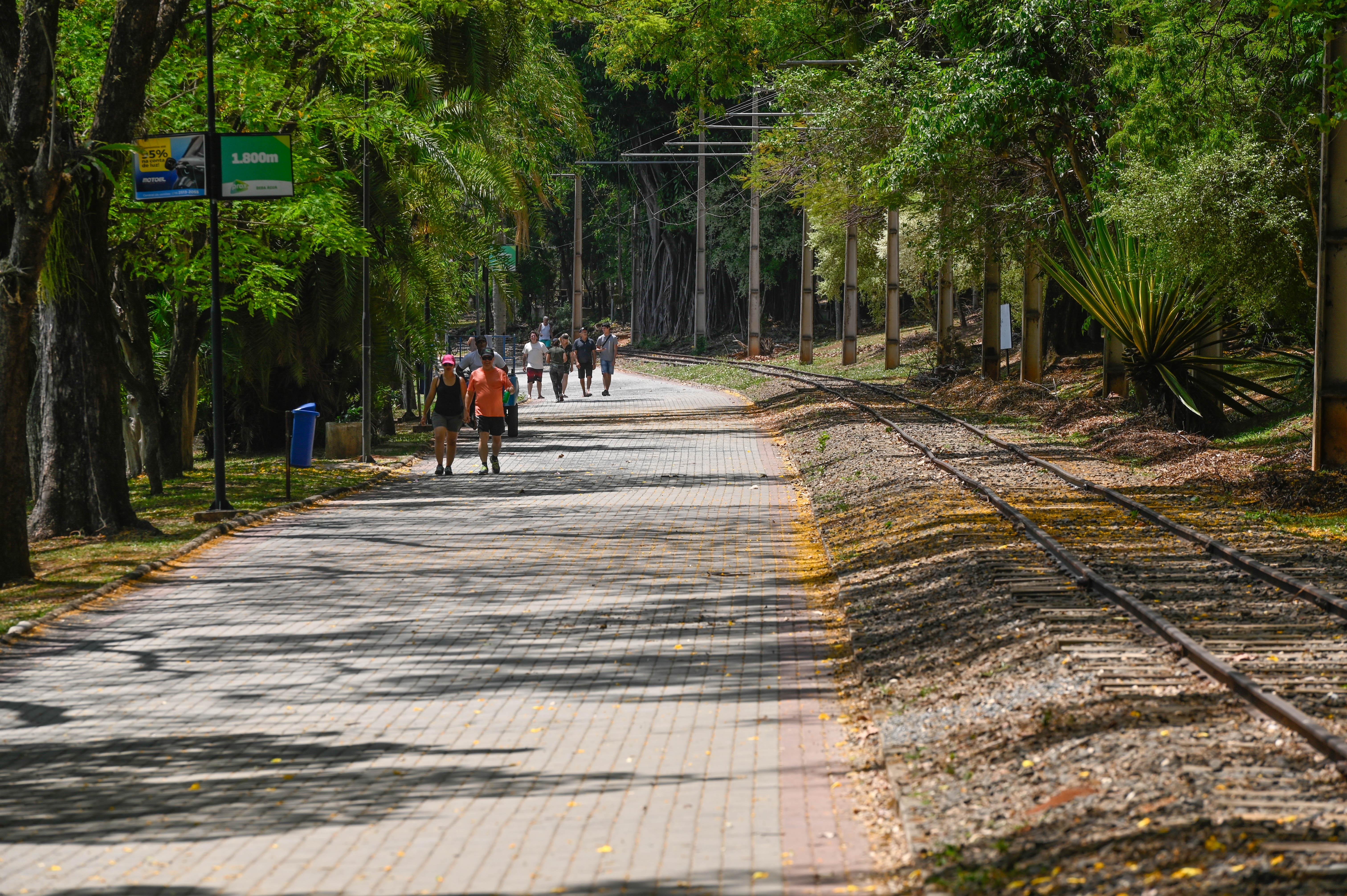 Parques e bosques funcionam normalmente na quinta-feira, 9 de julho, e nos demais dias