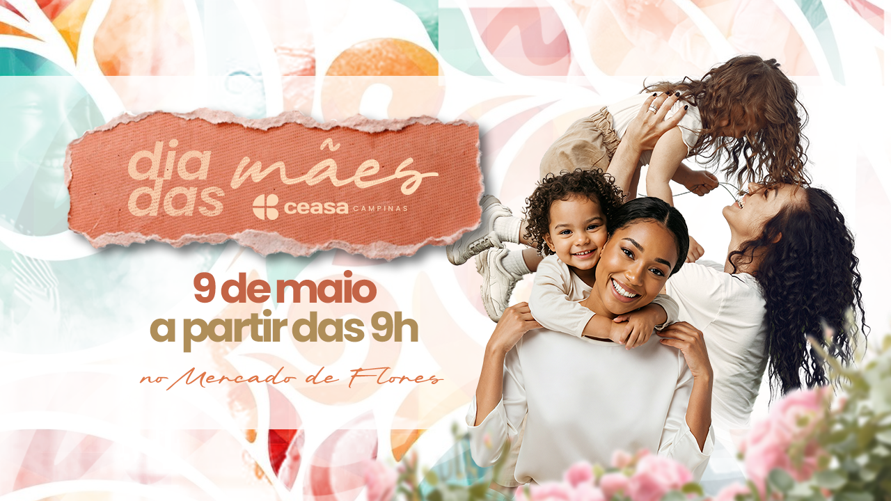Ofertas de flores, plantas, peças de decoração e acessórios multiplicam as escolhas para homenagear as mães