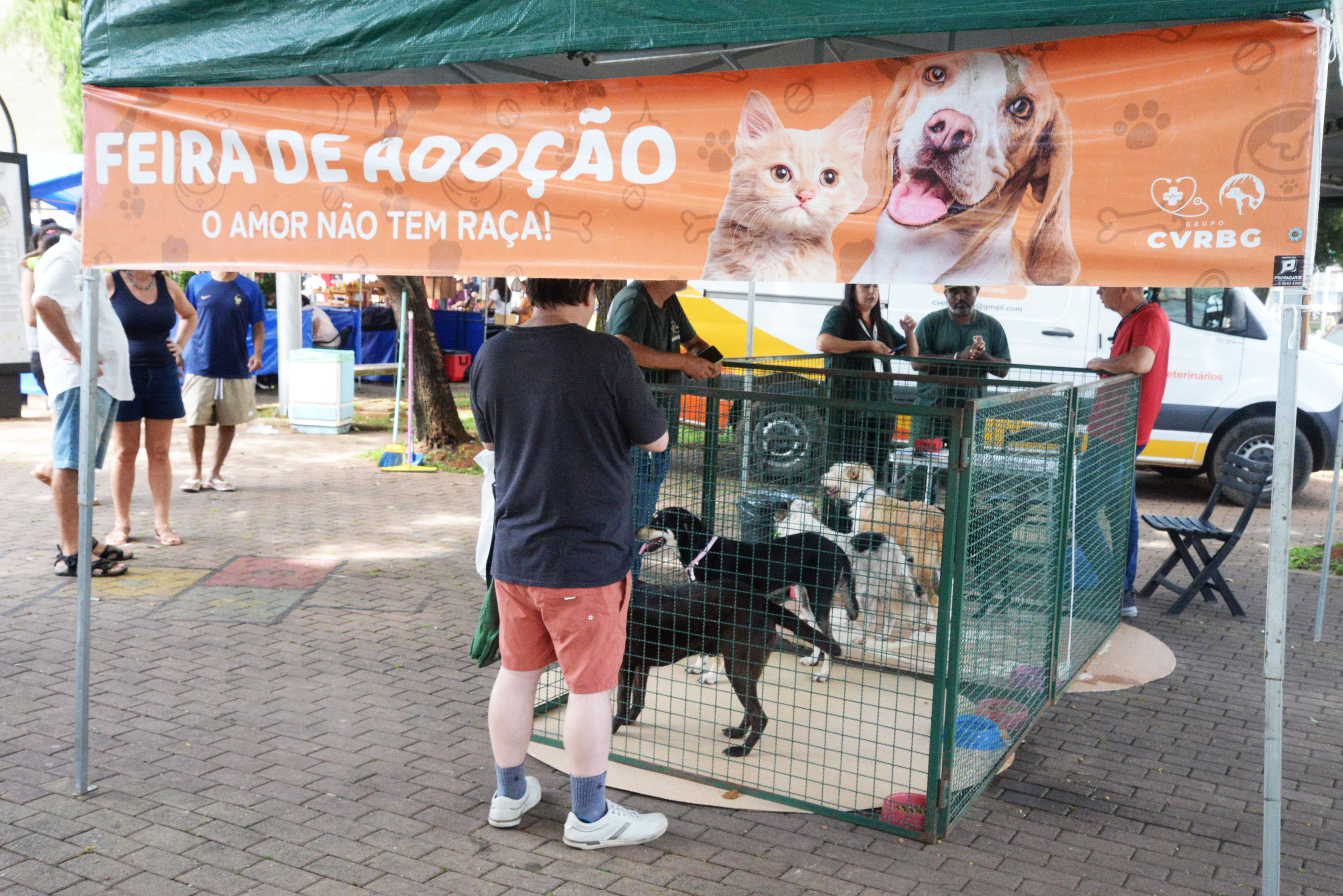Todos os animais são saudáveis, sociáveis e prontos para integrar uma nova família