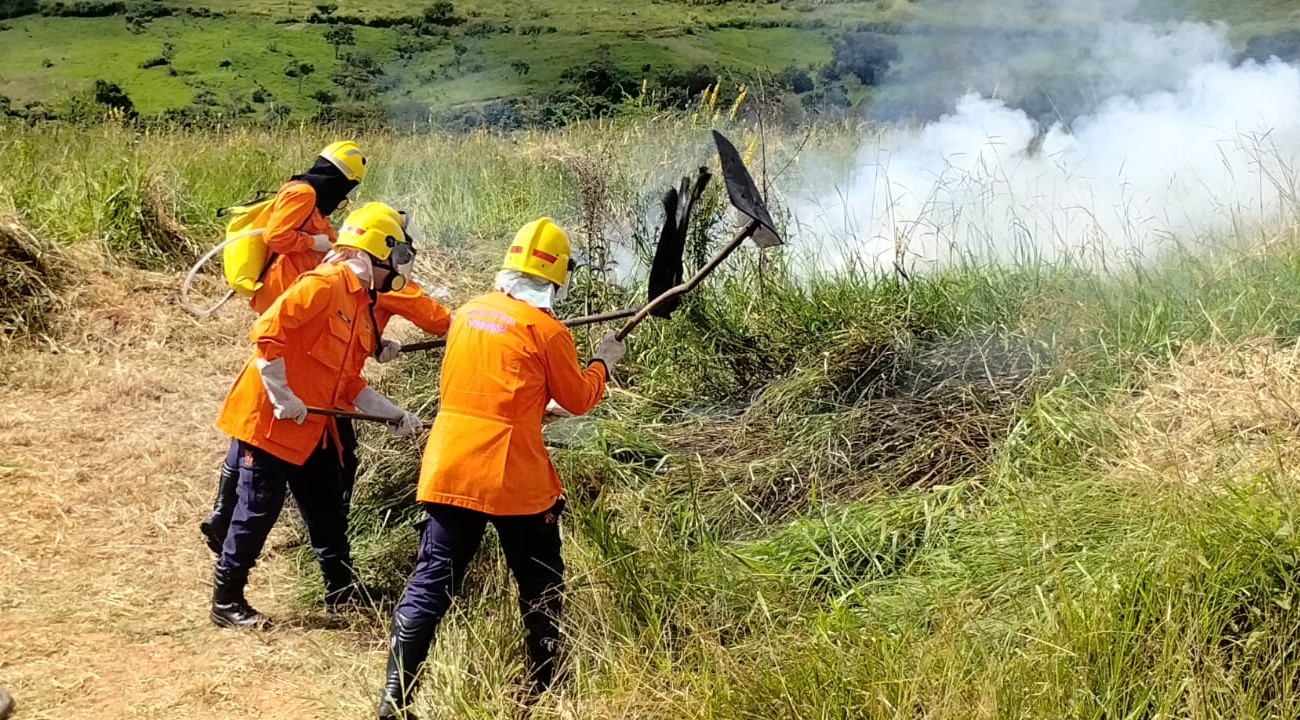 Agentes tiveram que conter incêndio provocado intencionalmente na área do Parque Ecológico