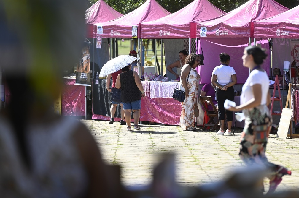 Programa Mulheres Empreendedoras conta com 3 mil mulheres cadastradas