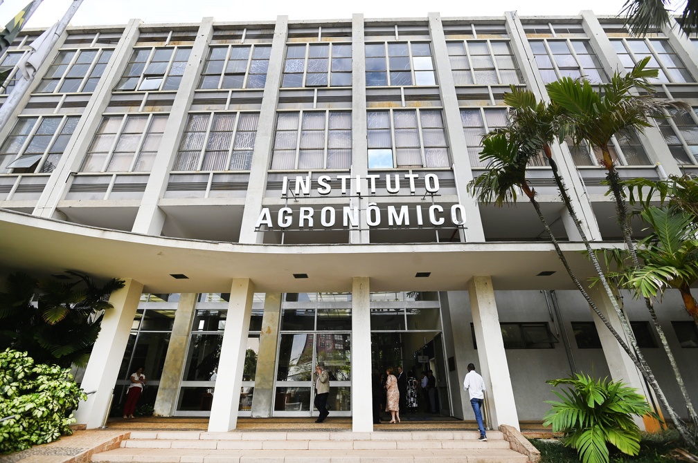 “Mulheres em Ação” será na segunda-feira, 18/11, às 10h, no Instituto Agronômico de Campinas (IAC)