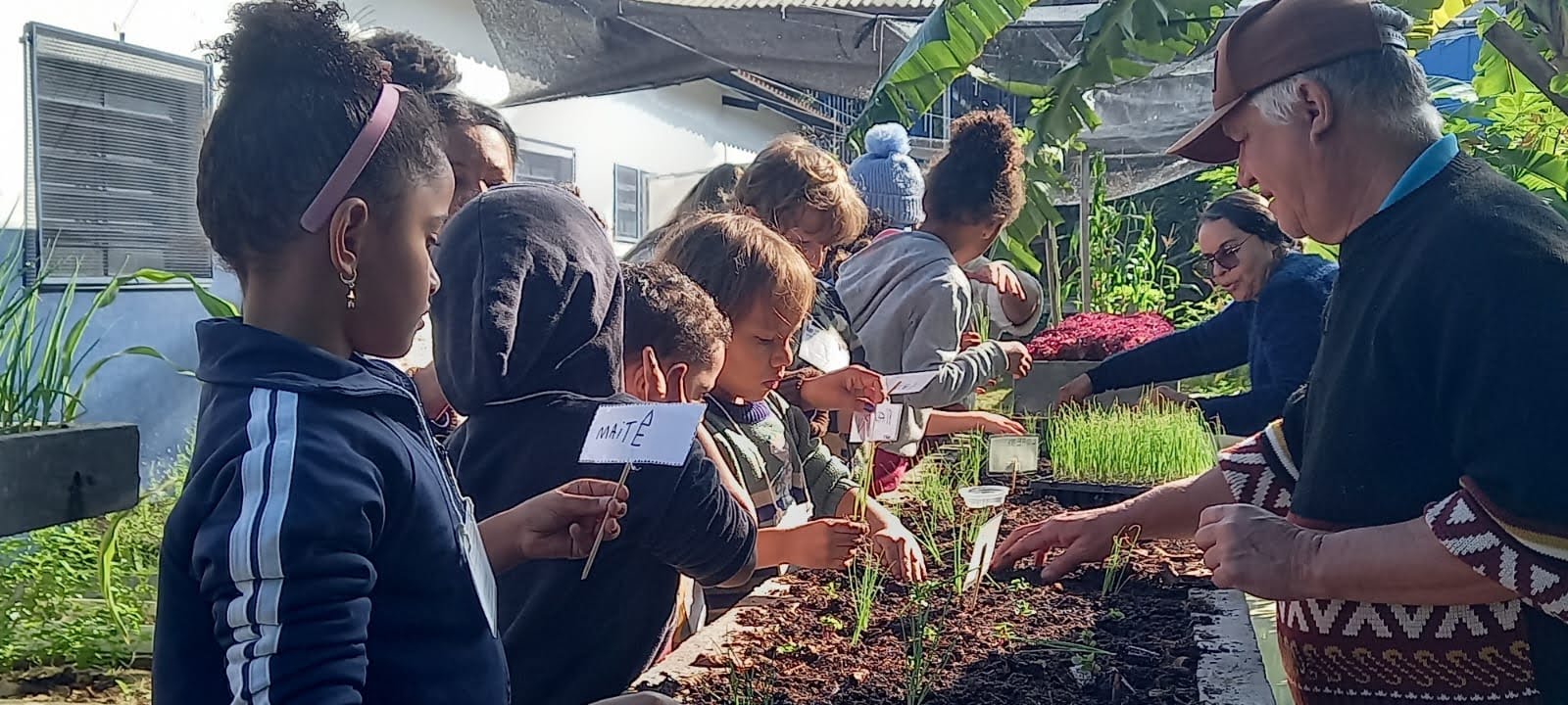O programa aposta que crianças que já colocaram as mãos na terra e se alimentaram do resultado do seu trabalho serão adultos defensores da natureza