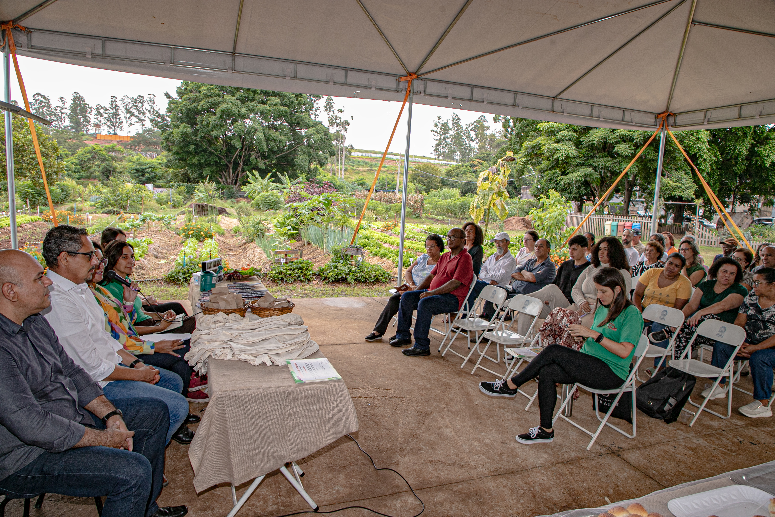 Números dimensionam o alcance da Horta do Florence: 24.720 mudas plantadas, 17.491 mudas produzidas na estufa, 2.644 quilos de alimentos colhidos