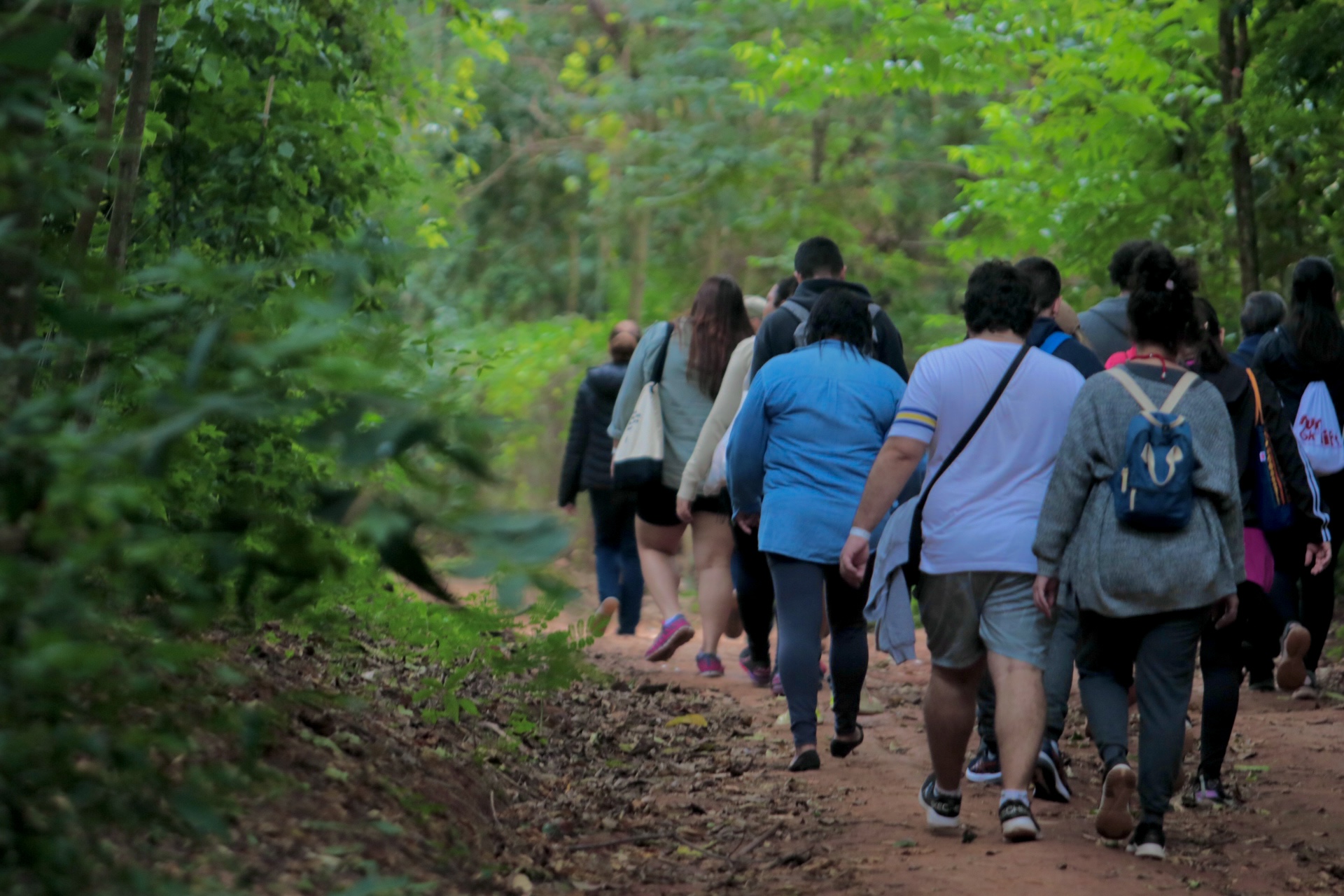 Grupos interagem com a natureza na Mata de Santa Genebra: bem-estar físico e mental