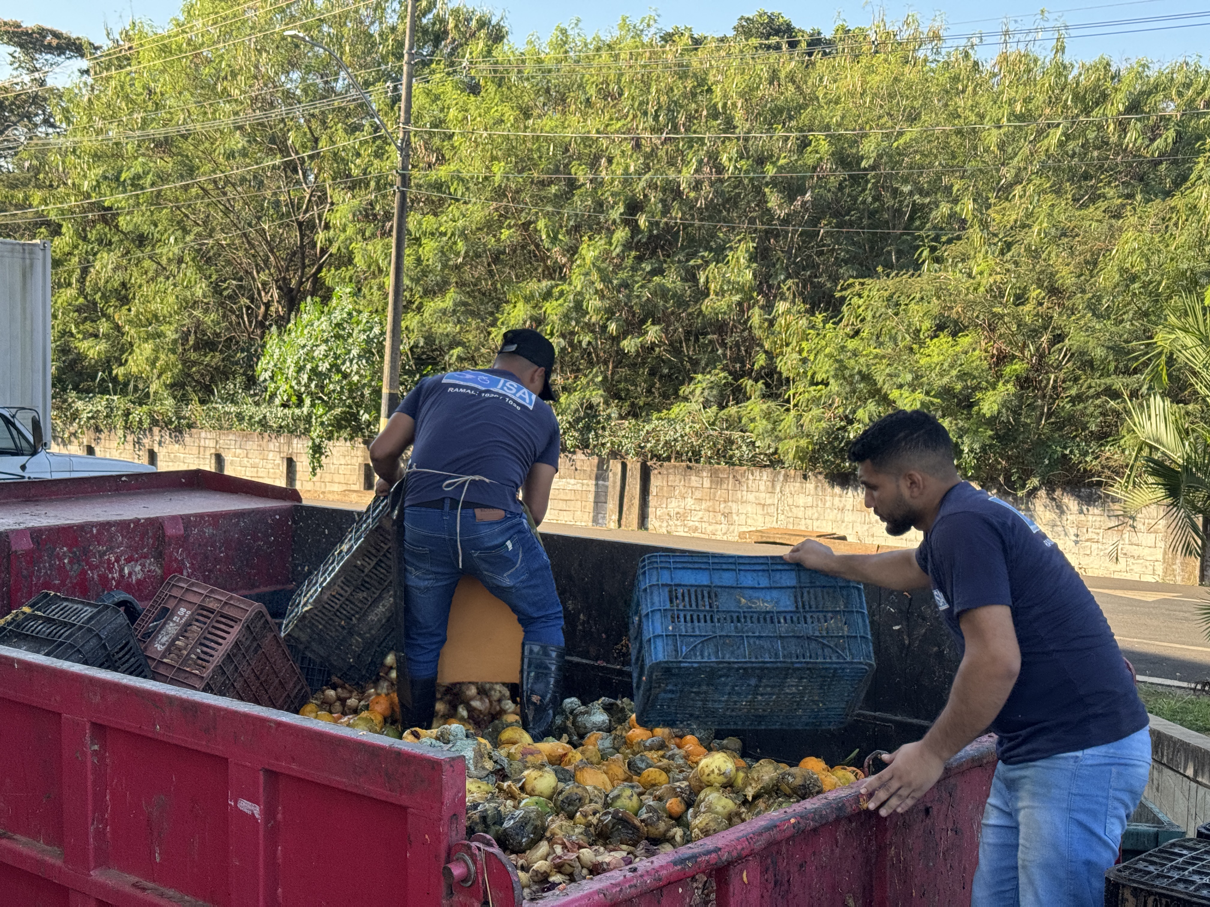 Dependendo de suas condições, alimentos podem ser doados a entidades assistenciais; pecuaristas (para alimentação de animais) ou para a Usina Verde, para aproveitamento como adubo