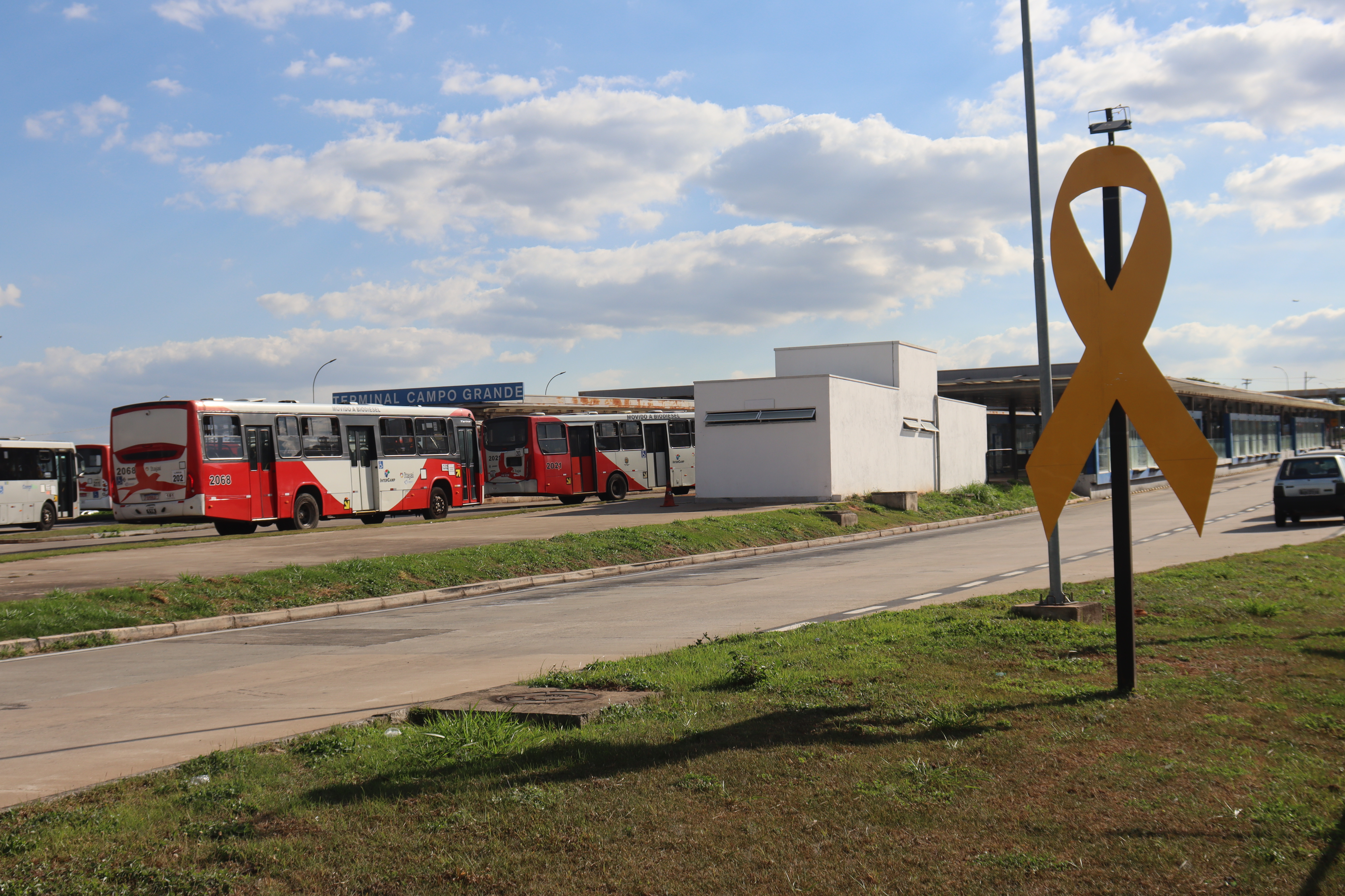 Campanha envolve todos os atores do trânsito: motoristas, pedestres, ciclistas, todos os tipos de veículos