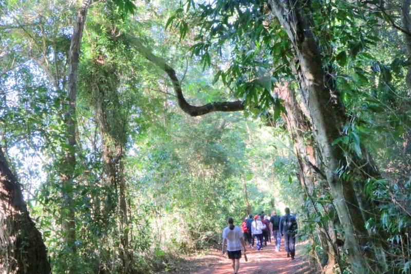 Além de abrigar milhares de espécies, Mata de Santa Genebra é o celeiro de lendas e histórias sobrenaturais