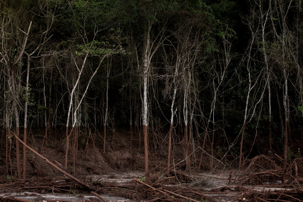 Natureza e território estão entre os temas da palestra sobre fotografia contemporânea promovida pelo NuFCa