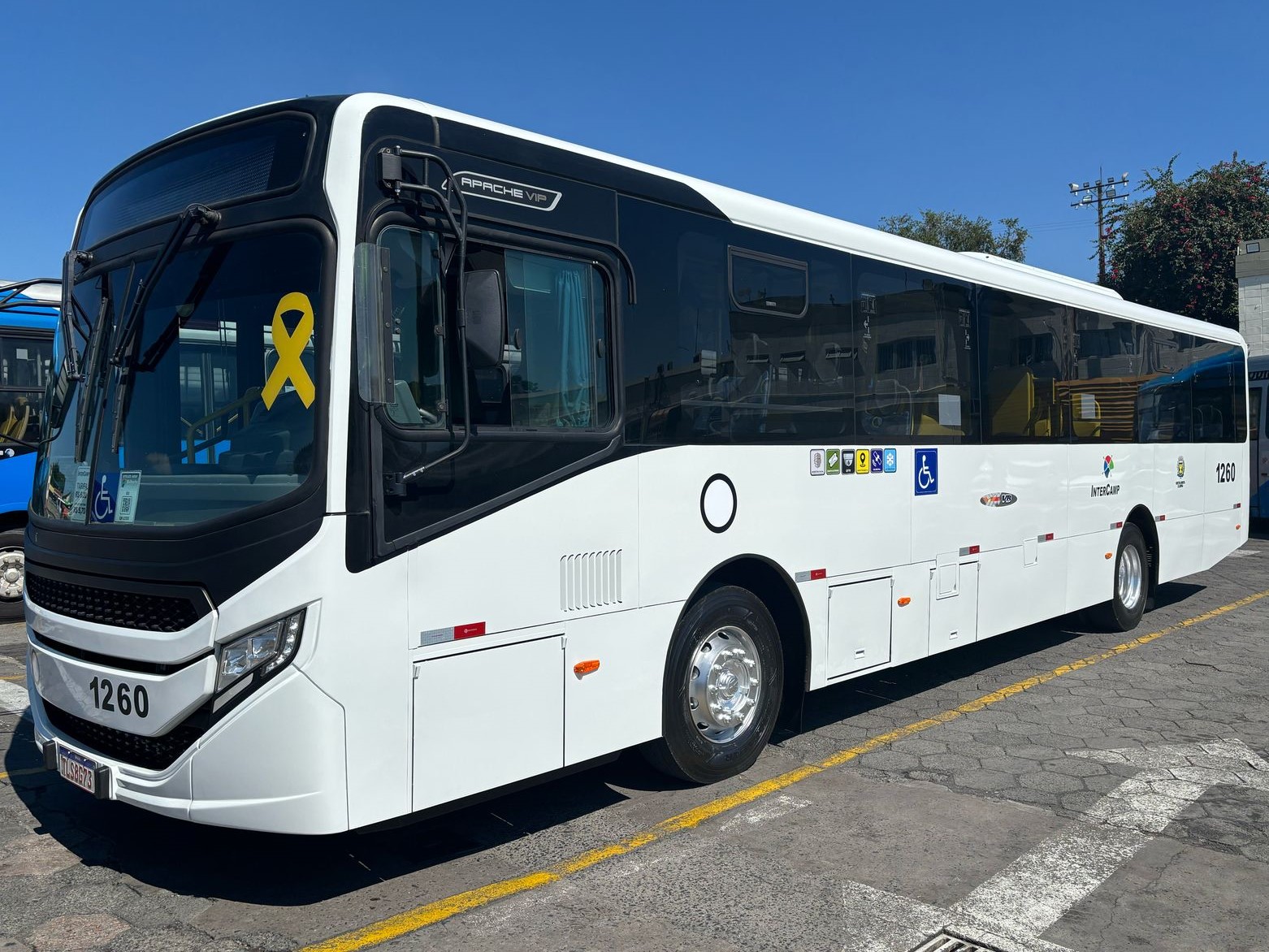 Novos veículos padrão Euro 6 contam com ar-condicionado e wi-fi