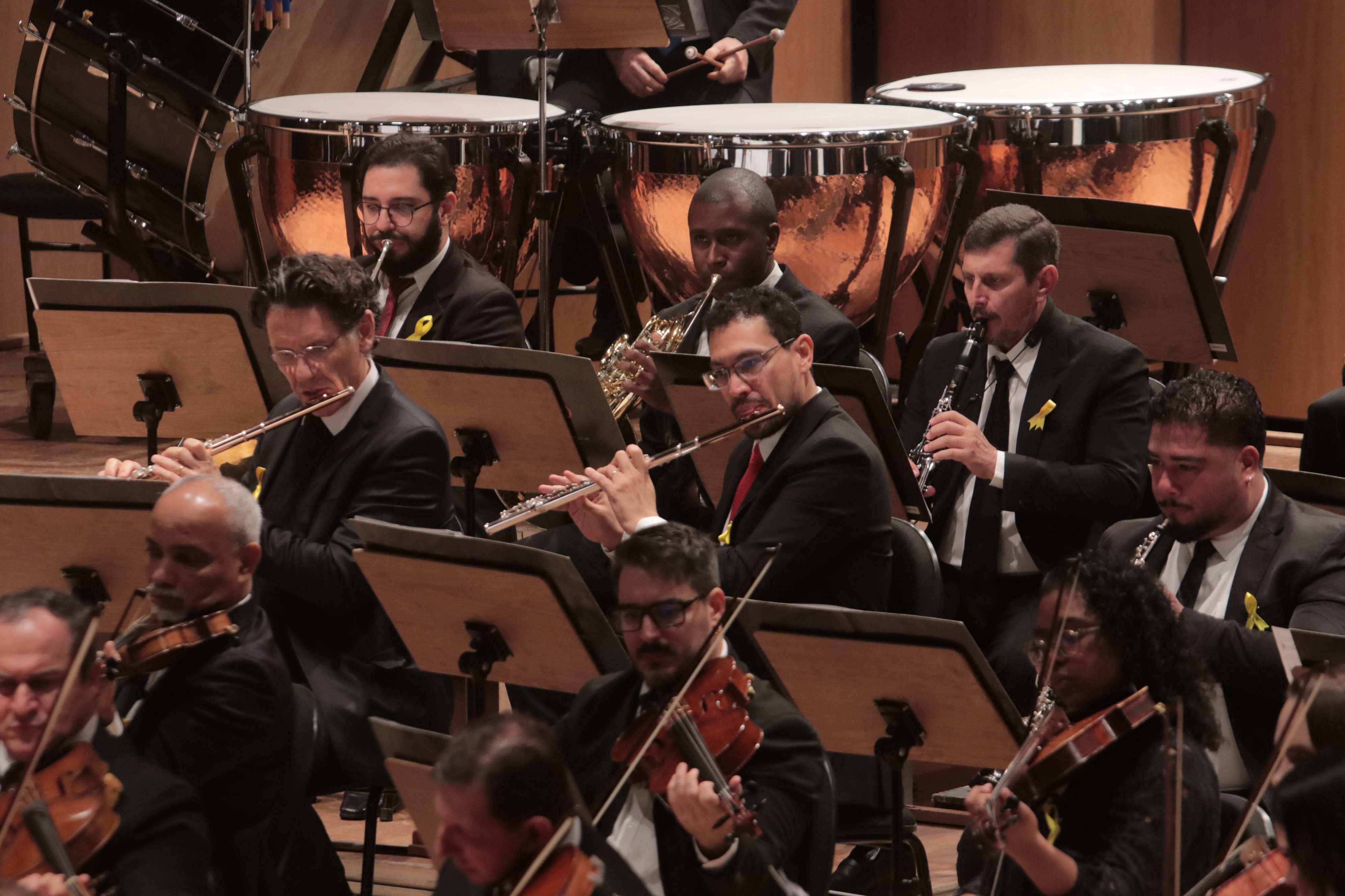 Orquestra Sinfônica de Campinas é uma das atrações com ingressos disponíveis, com o concerto “Ecos do Romantismo”