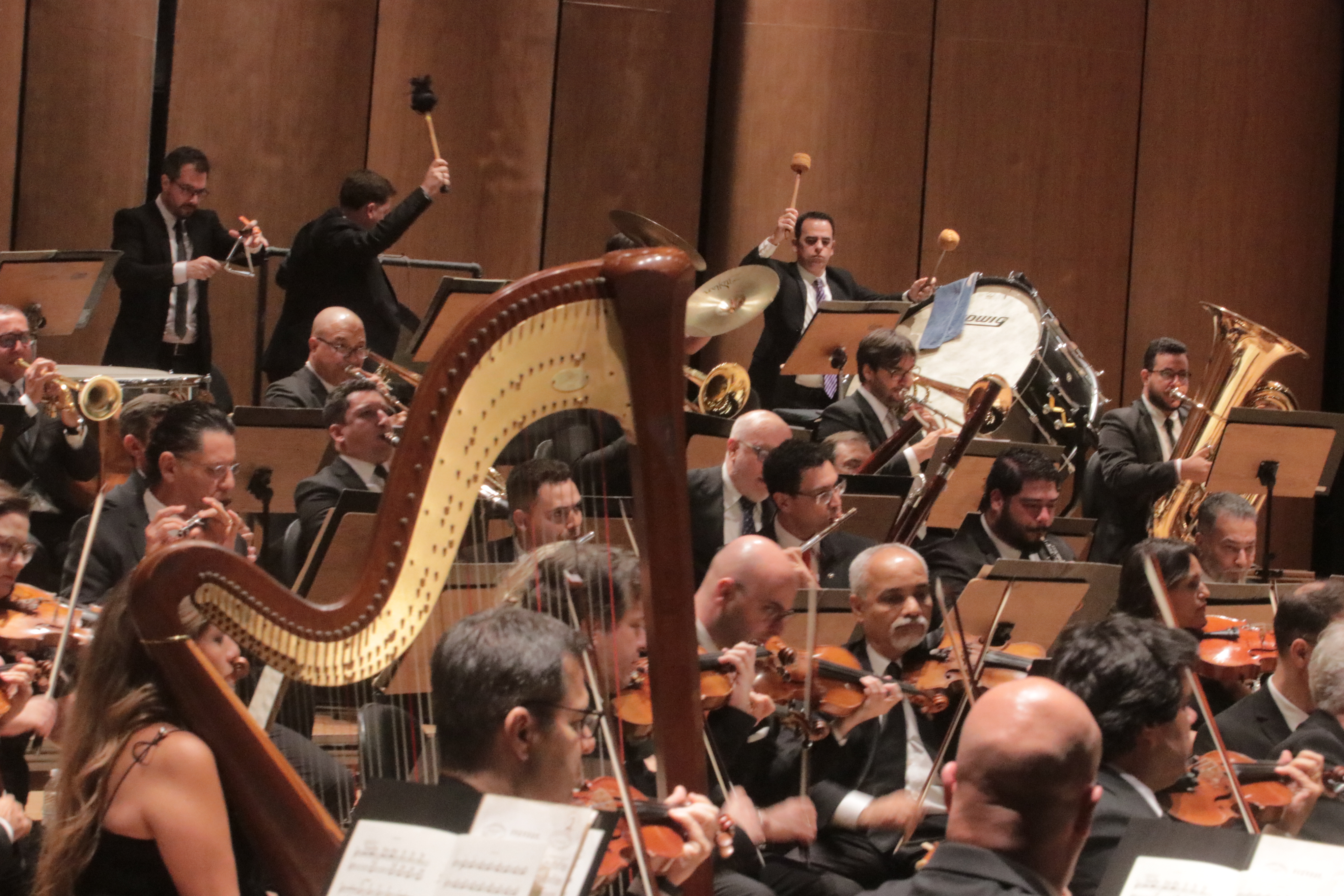 Orquestra vai homenagear a Academia Campinense de Letras por seu aniversário de 70 anos 