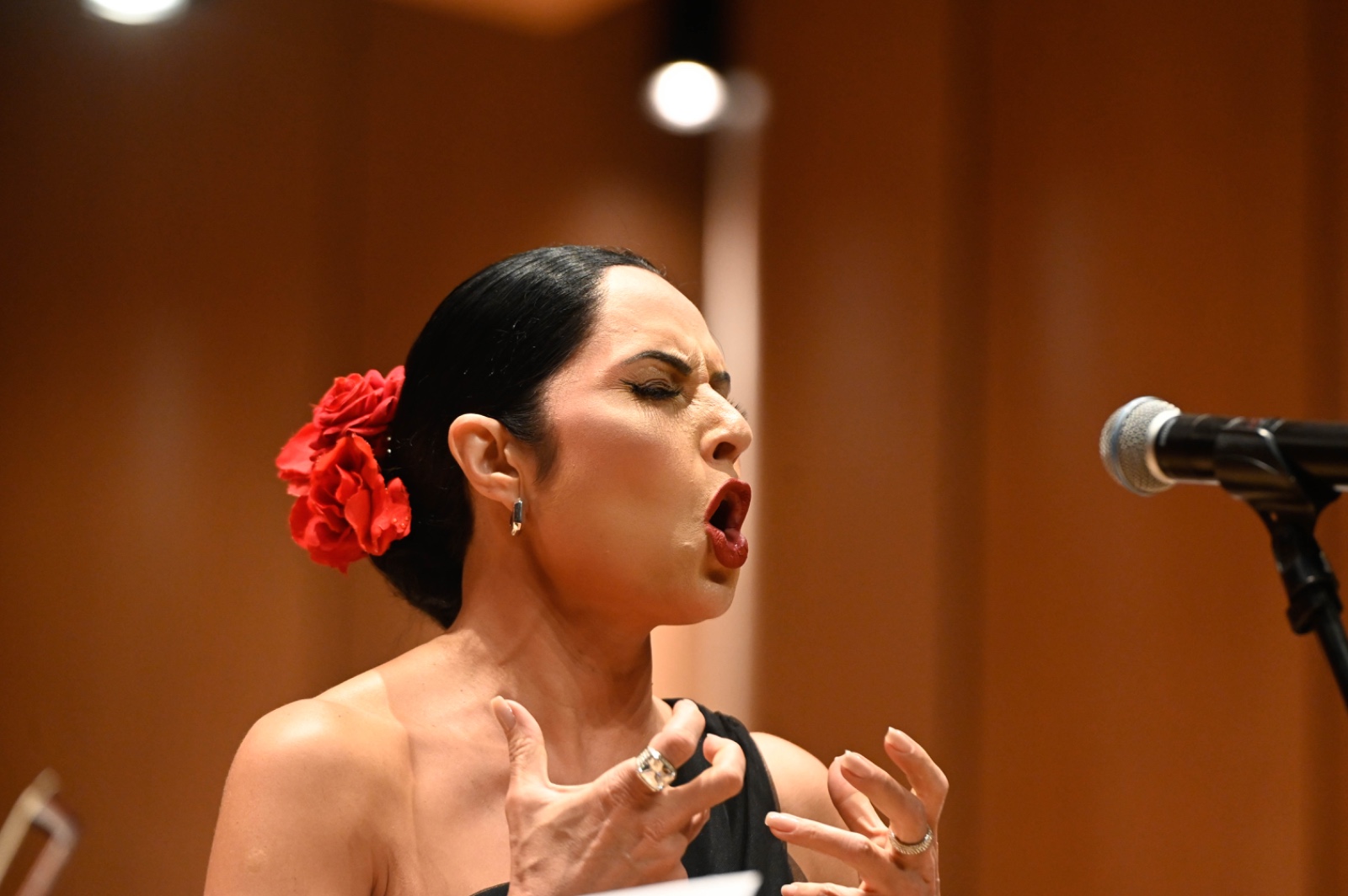 Concerto também contou com participação da mezzo-soprano Luciana Bueno