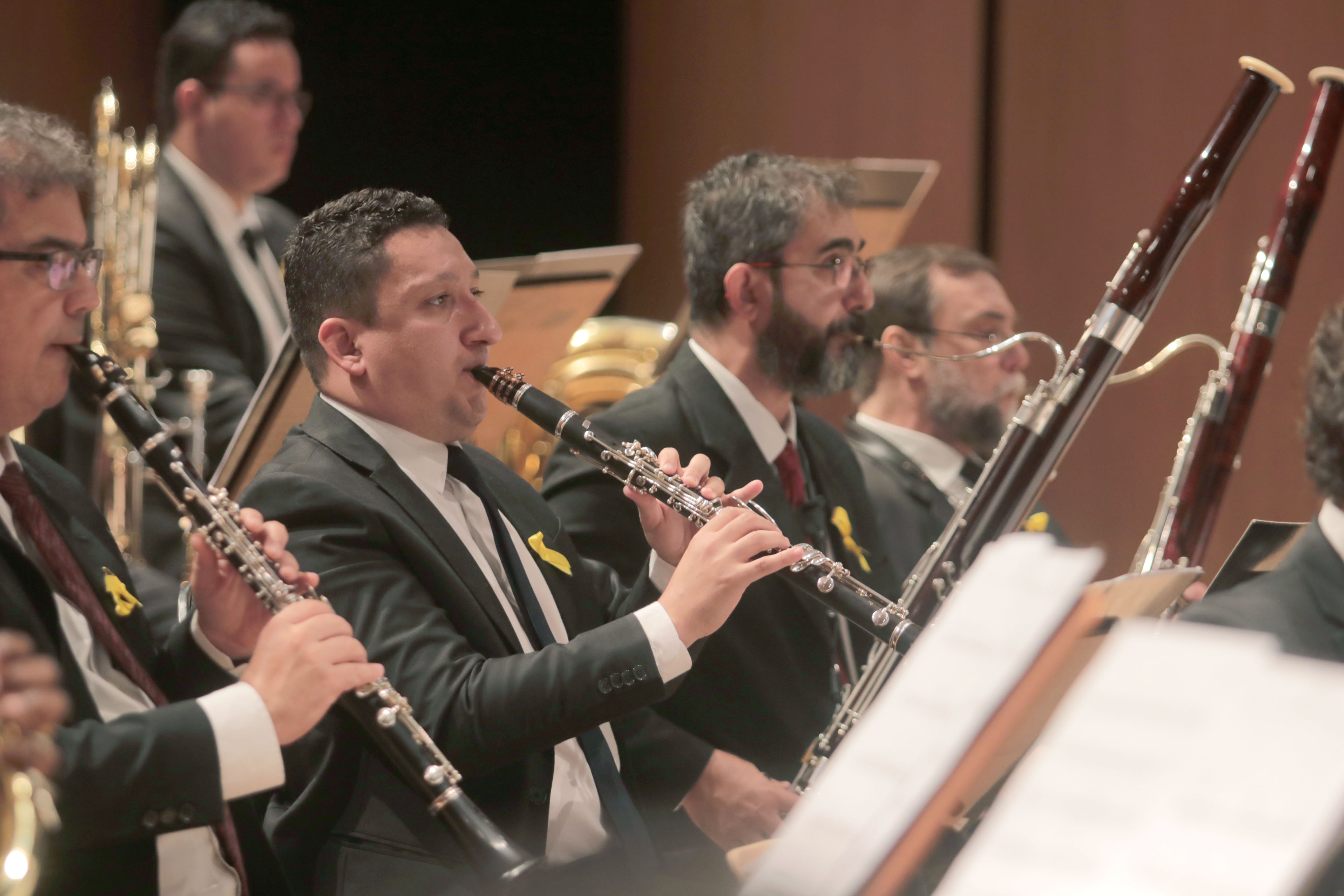 O ensaio aberto será uma oportunidade para o público conferir a interação entre o maestro, os músicos e cantores