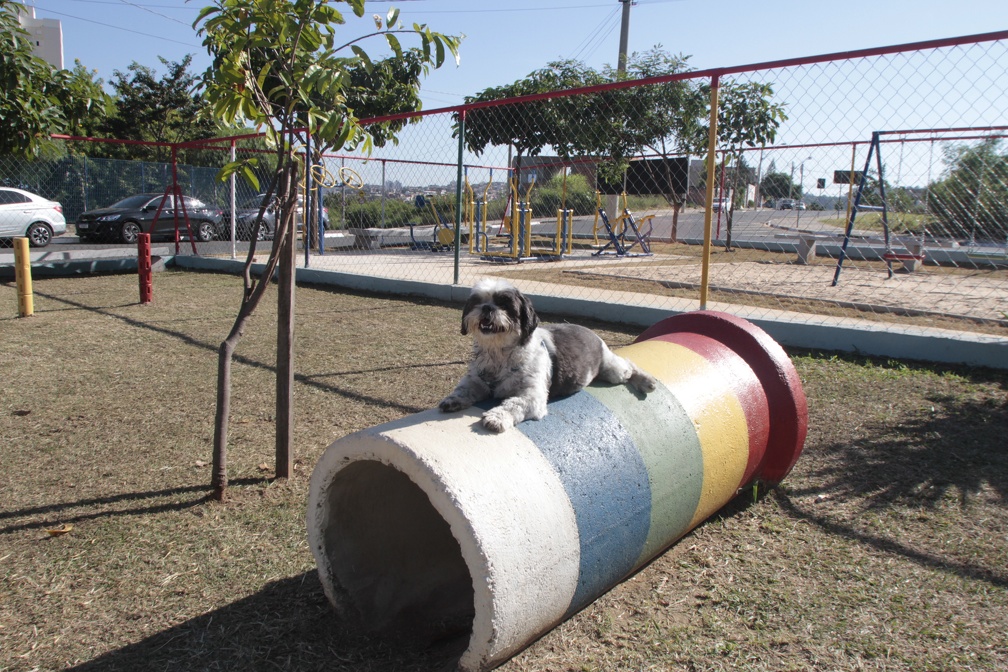Parcão no Jd. Icaraí amplia lista de parques para cachorros na metrópole