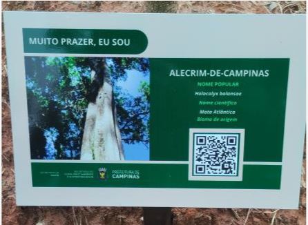 Placas com QR Code ajudam a população na identificação das espécies plantadas