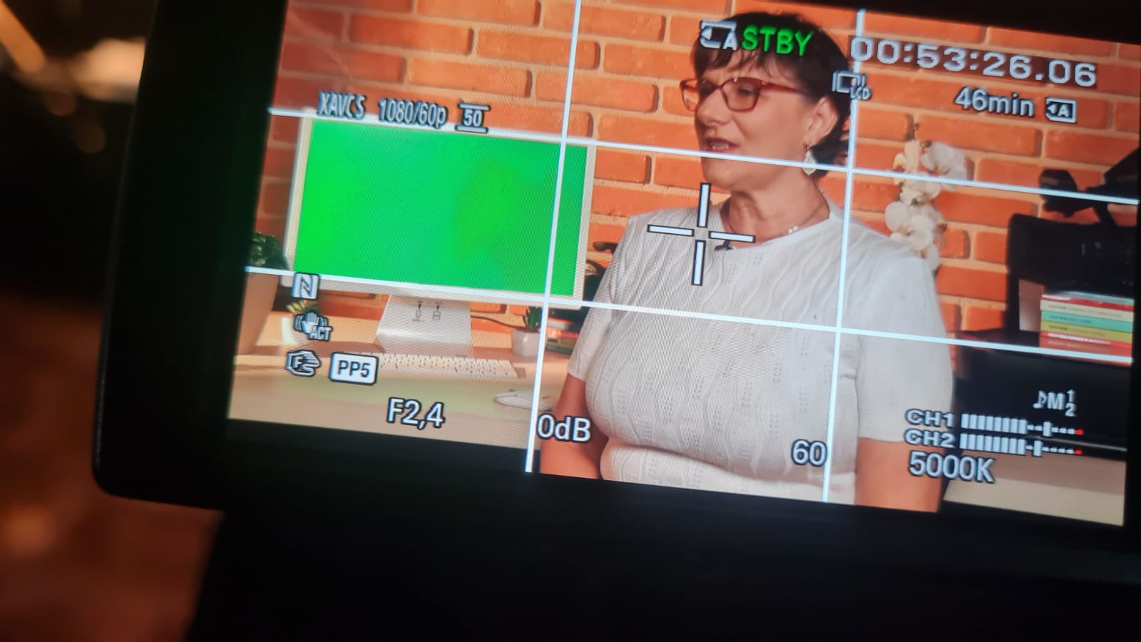 Apresentação do conteúdo é realizada pela professora Roberta Ortale