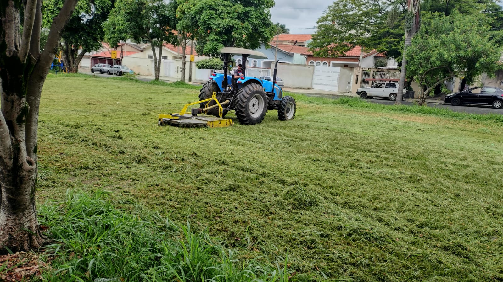 Com calor e muita água, vegetação cresce rapidamente no verão e trabalhos de corte e roçagem são essenciais