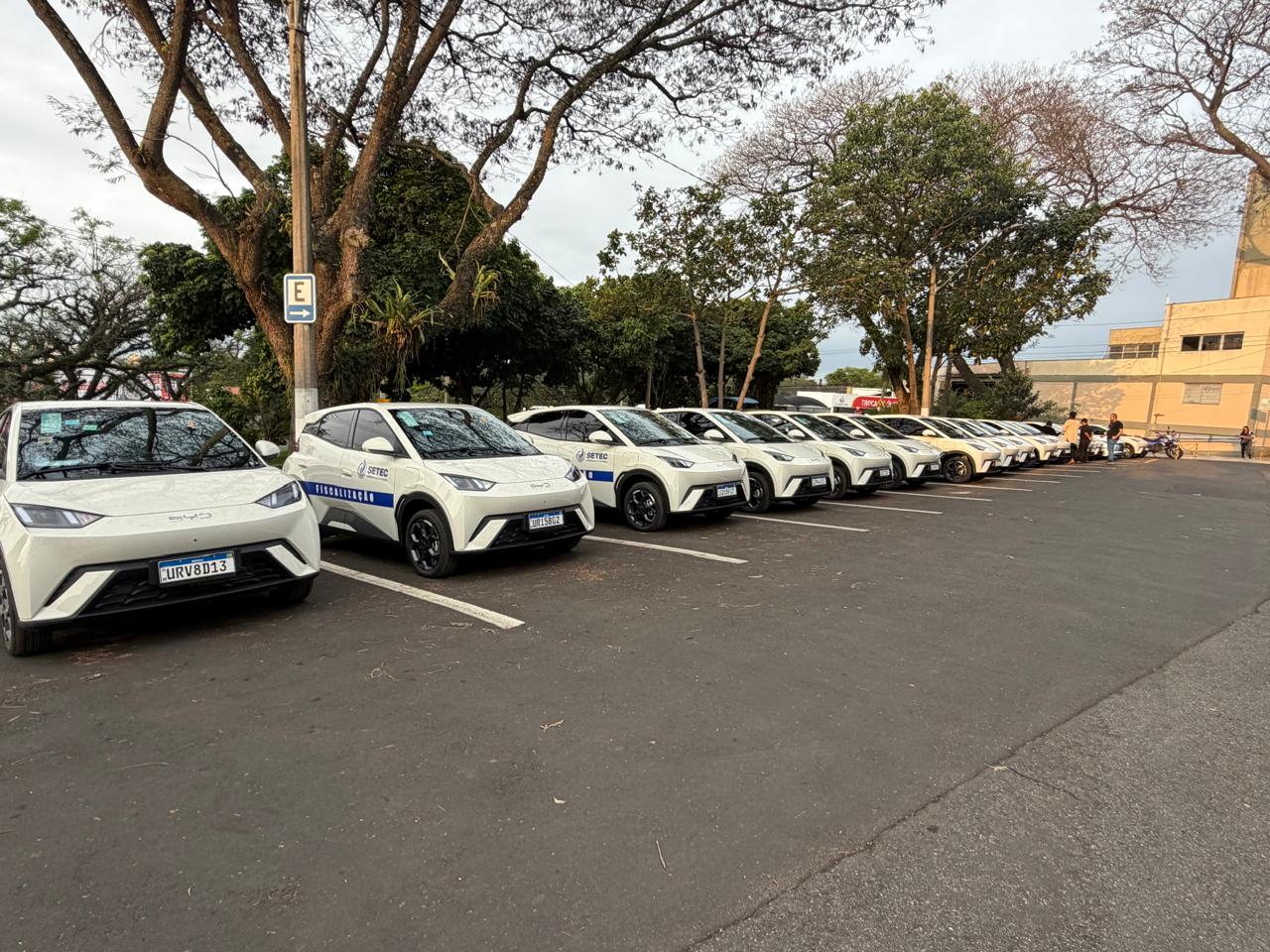 São 14 carros elétricos e um híbrido