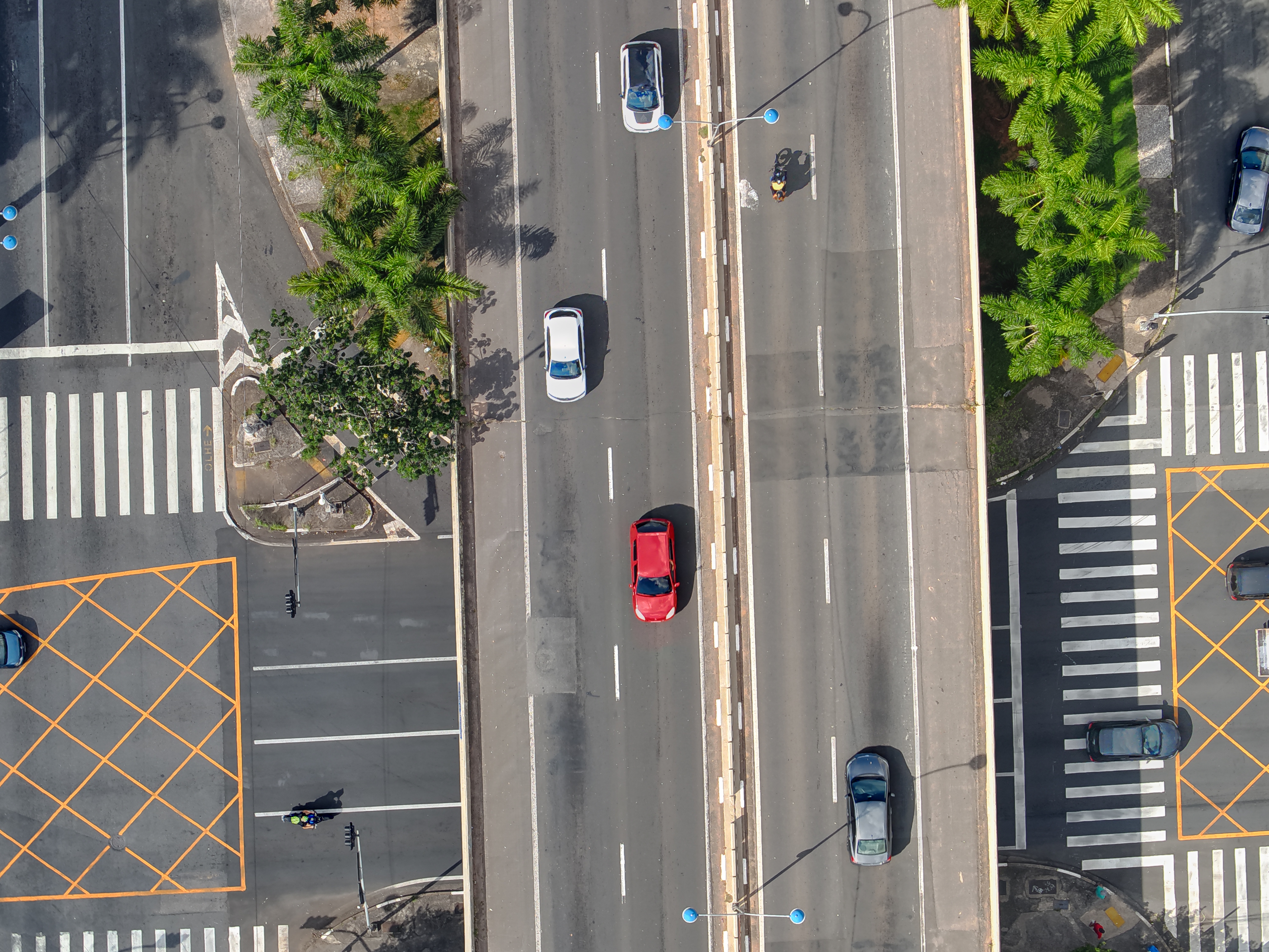 Cinco vidas de pedestres foram salvas no período acumulado