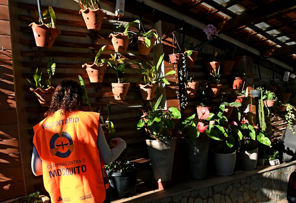 Agente de saúde durante ação para controle de criadouros do Aedes aegypti em imóvel de Campinas