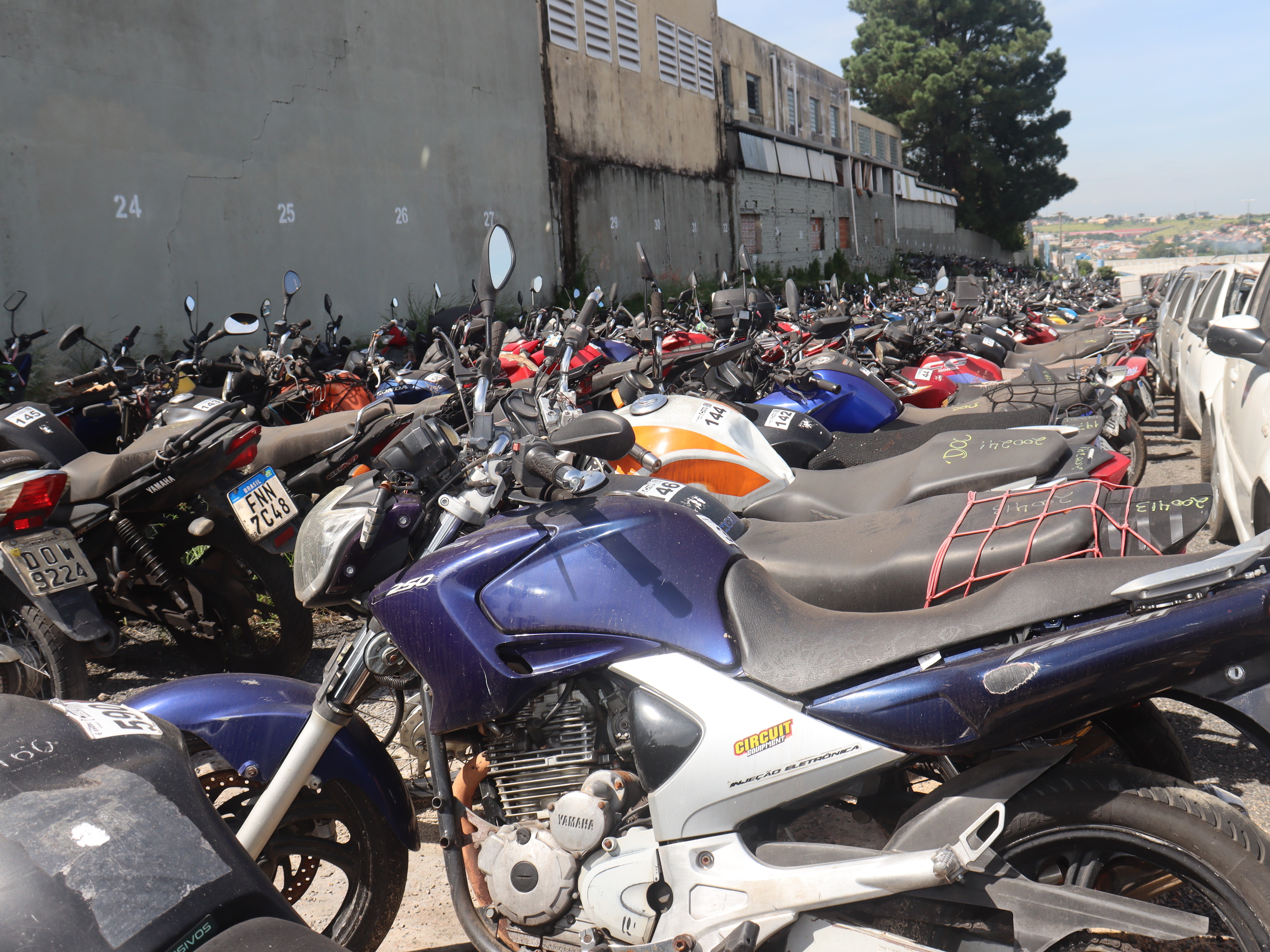 Entre os 347 lotes em oferta, 106 são carros e motos com direito à documentação