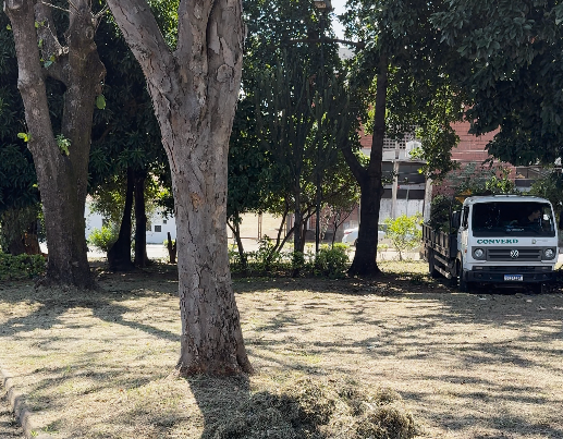 E na Vila Boa Vista teve roçagem do mato