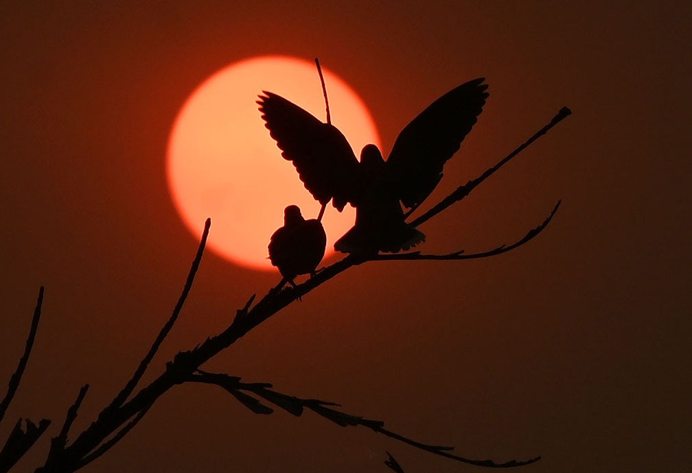 Saúde e Defesa Civil destacam série de orientações por conta de calor e baixa umidade