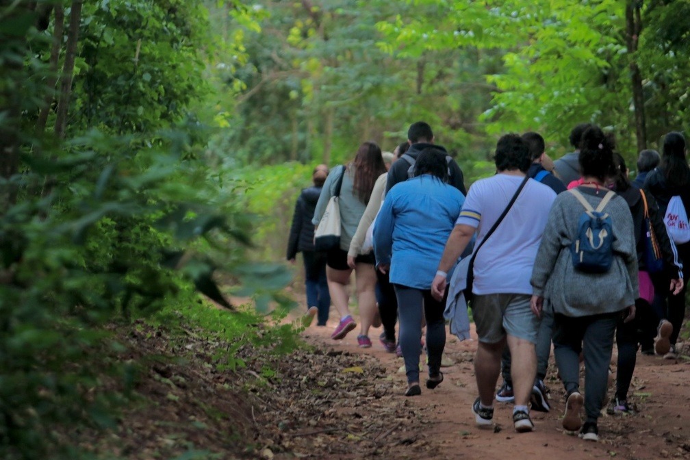 No primeiro semestre de 2025, a parceria entre a FJPO e a Unicamp resultou na realização de três atividades voltadas ao público 50+ com a participação de cerca de 80 pessoas