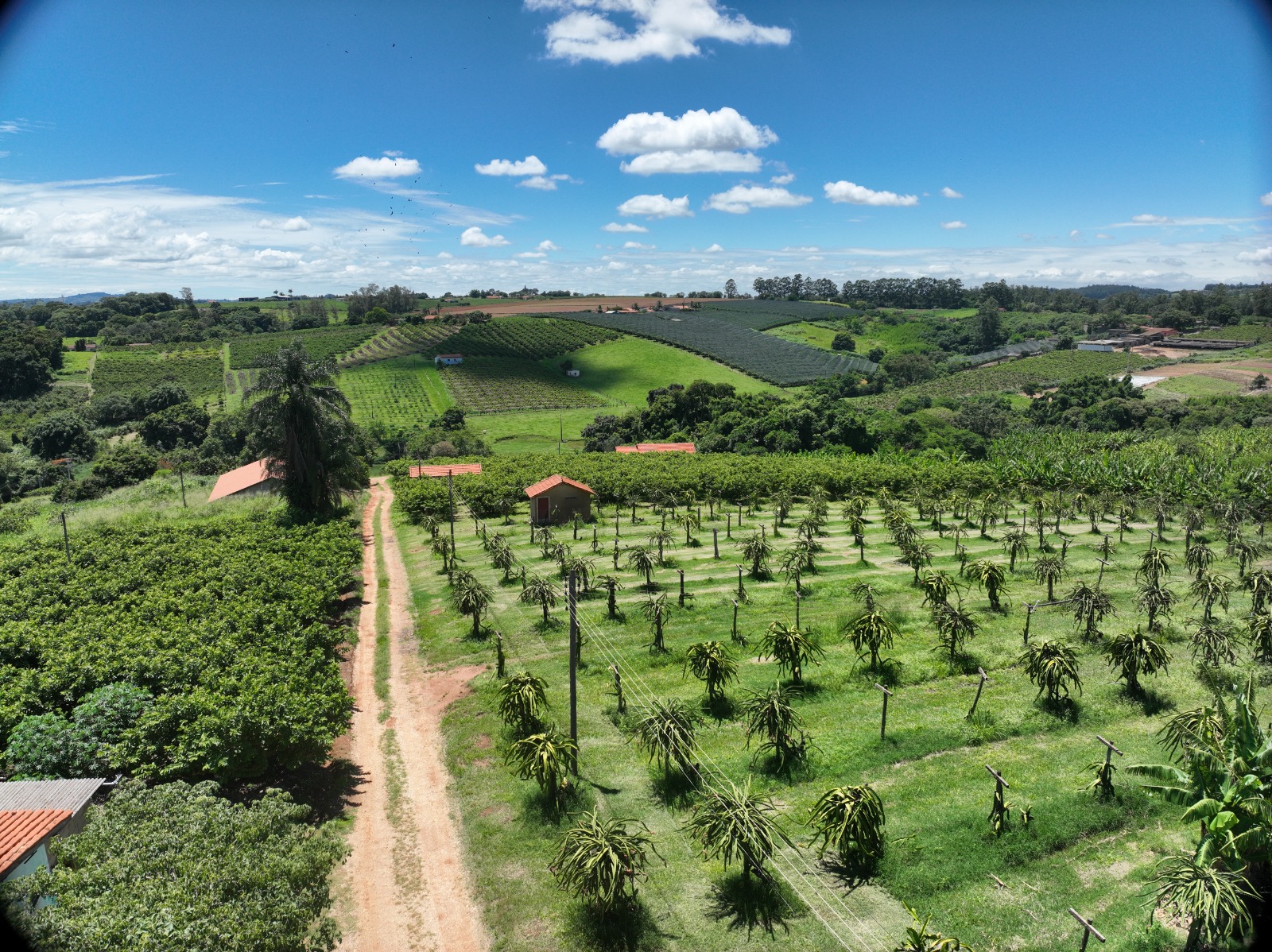 A Seclimas reforça que cuidar do solo é, ao mesmo tempo, cuidar da água, do clima, da biodiversidade e da qualidade de vida da população. Na imagem, propriedade rural localizada no bairro Descampado, beneficiada pelo PSA Água.