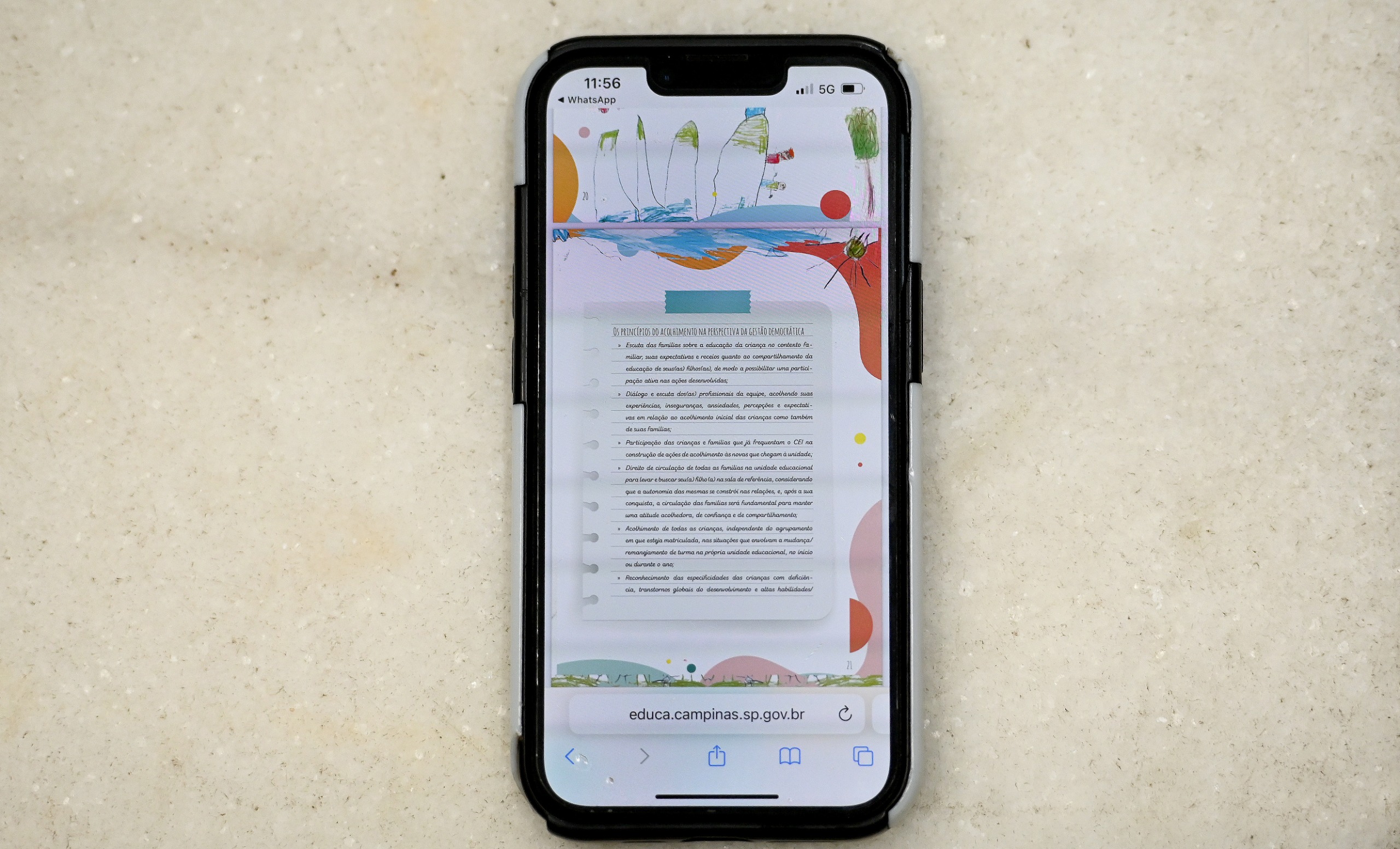 Dez princípios norteiam atuação dos profissionais de ensino durante acolhimento