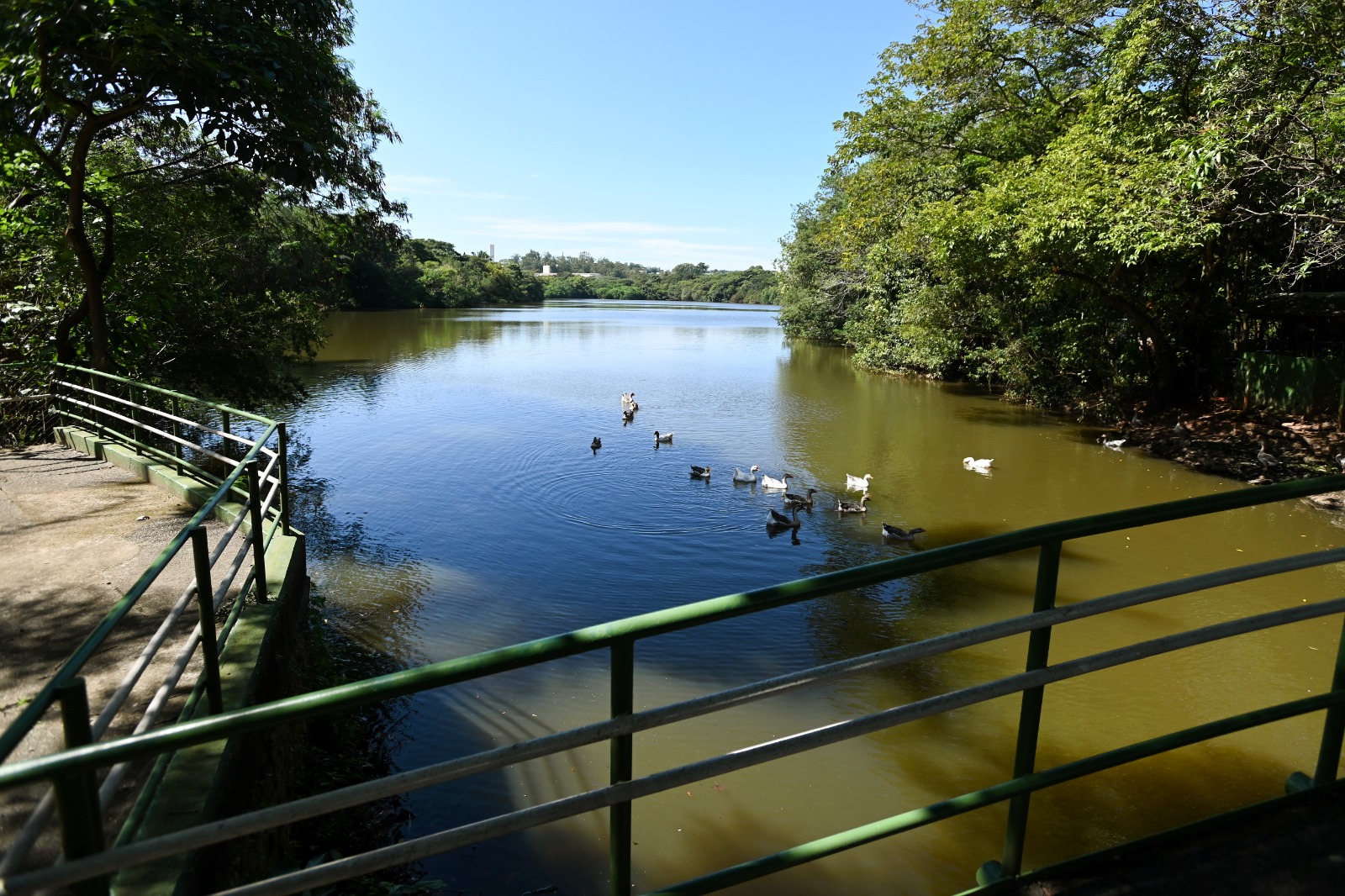 Parque Ecológico Hermógenes de Freitas Leitão Filho , em Barão Geraldo, é uma das 25 áreas de lazer de Campinas que funciona normalmente neste domingo
