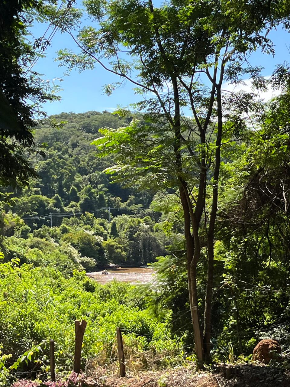 A APA de Campinas preserva importante remanescente de Mata Atlântica e abriga rica diversidade de fauna e flora no município