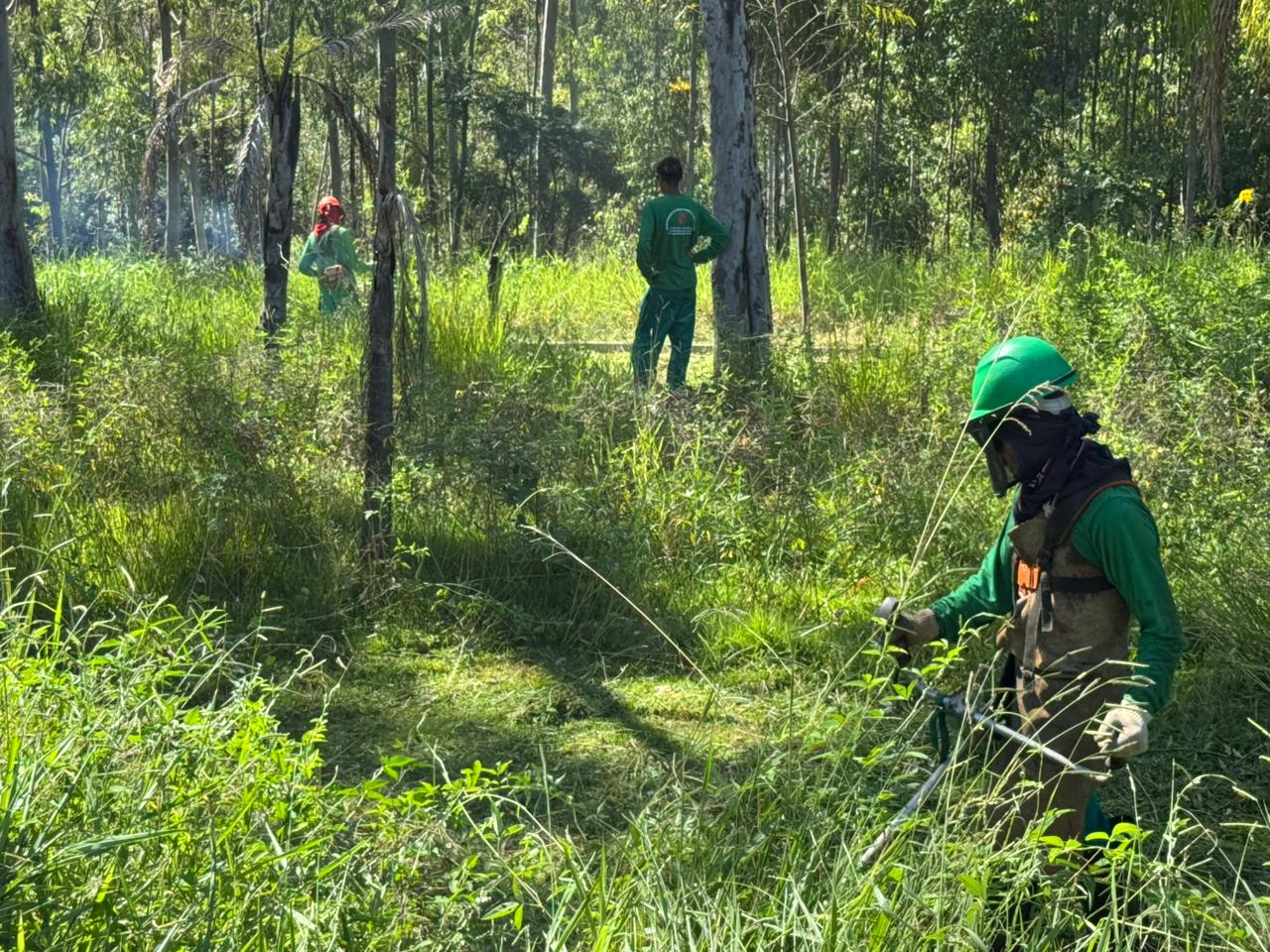 Ação de roçagem de mato no Residencial Moradas do Valle
