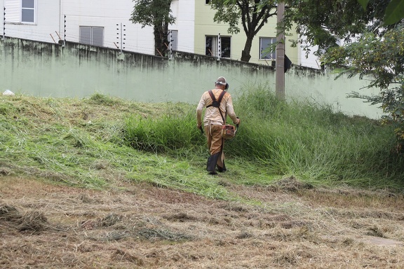 Ação terá roçagem de grama e mato