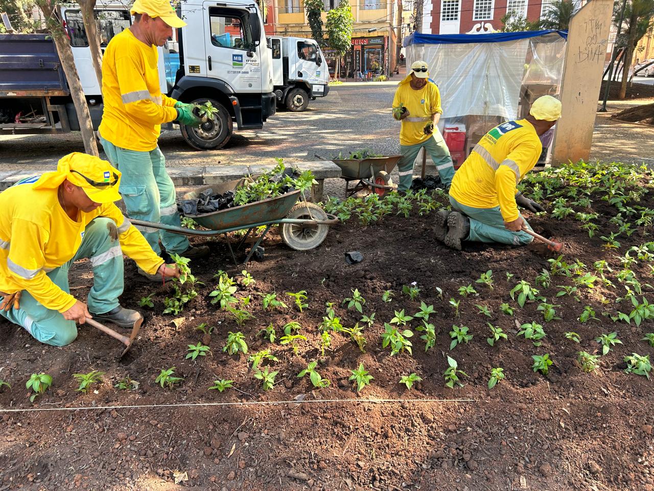 Trabalhadores se dedicaram à limpeza, tratamento da terra e plantio de novas mudas nos canteiros do Largo das Andorinhas 
