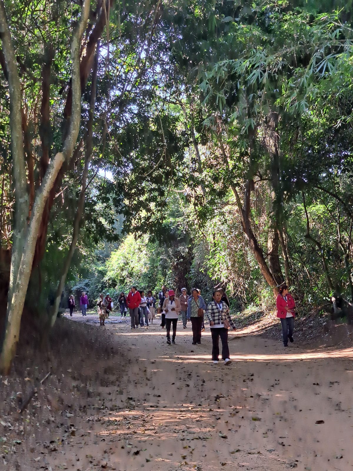 Caminhada em meio à natureza para respirar ar puro, relaxar e recarregar as energias