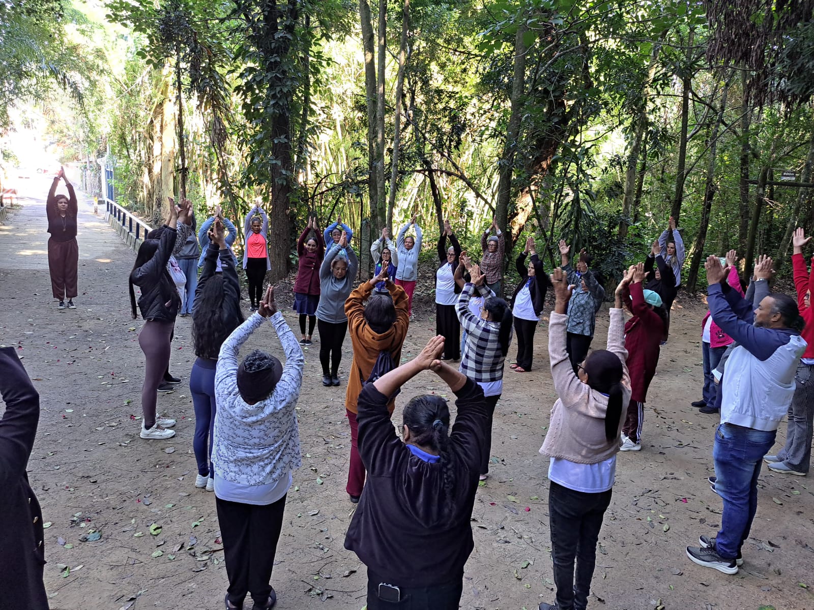 Grupo pratica yoga em meio à natureza: movimento, respiração e conexão com o presente