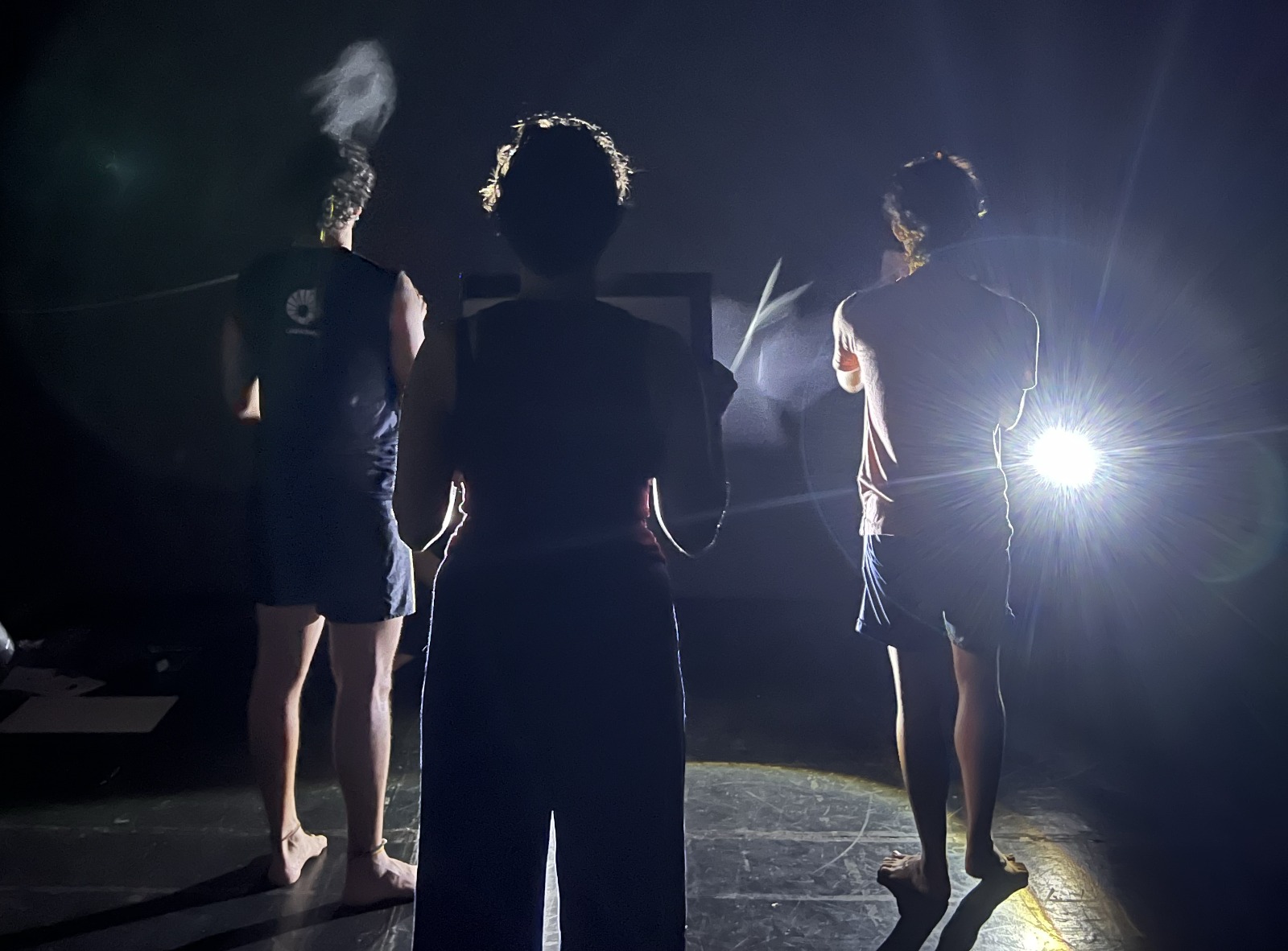 Núcleo de Pesquisa em Luz&Sombra realiza, no segundo semestre, uma programação gratuita voltada à difusão do Teatro de Sombras contemporâneo em Campinas