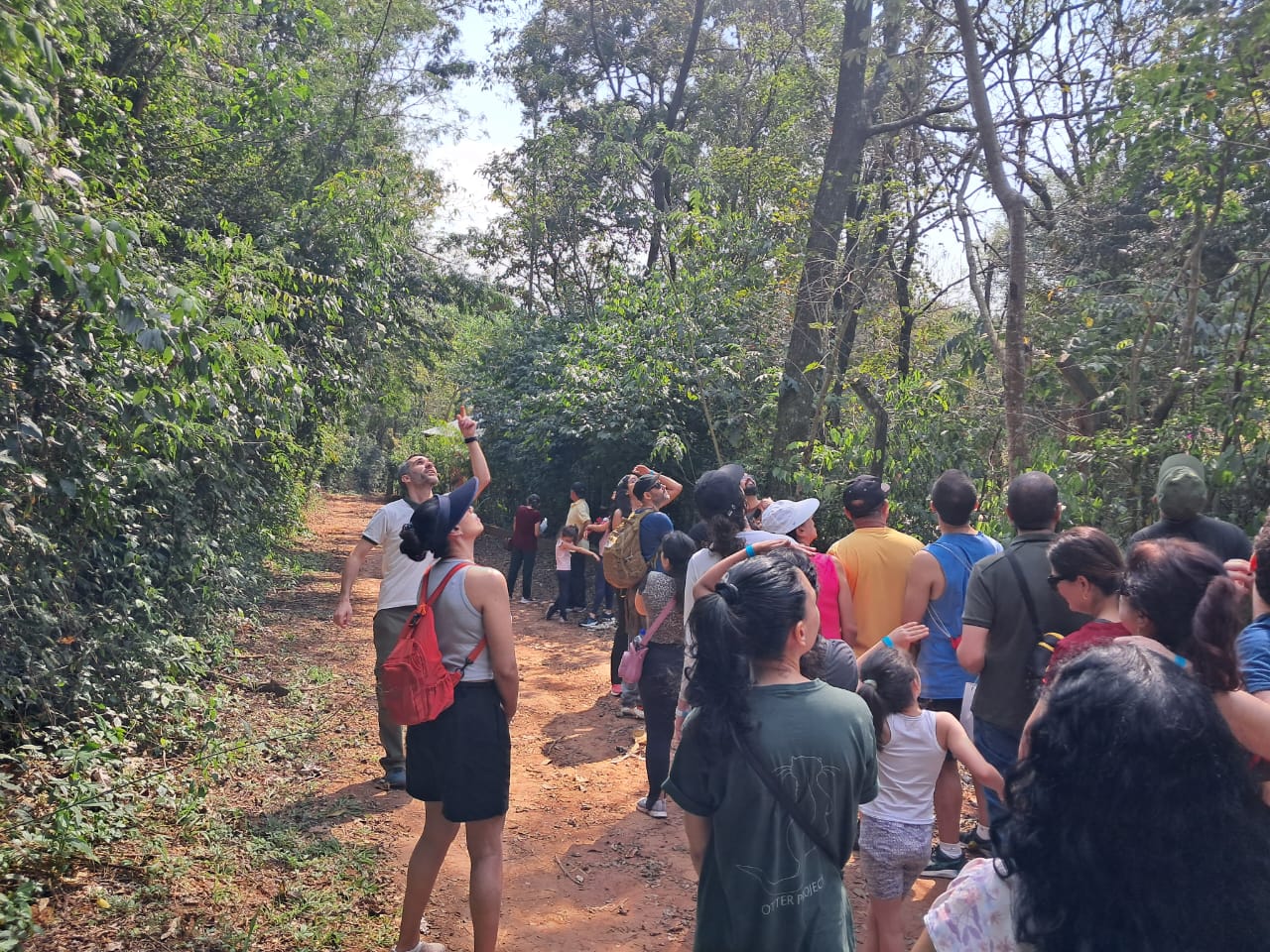 Maior fragmento de floresta da Região Metropolitana de Campinas, a Mata de Santa Genebra abriga uma diversidade de espécies de fauna e flora e desempenha importantes funções ambientais